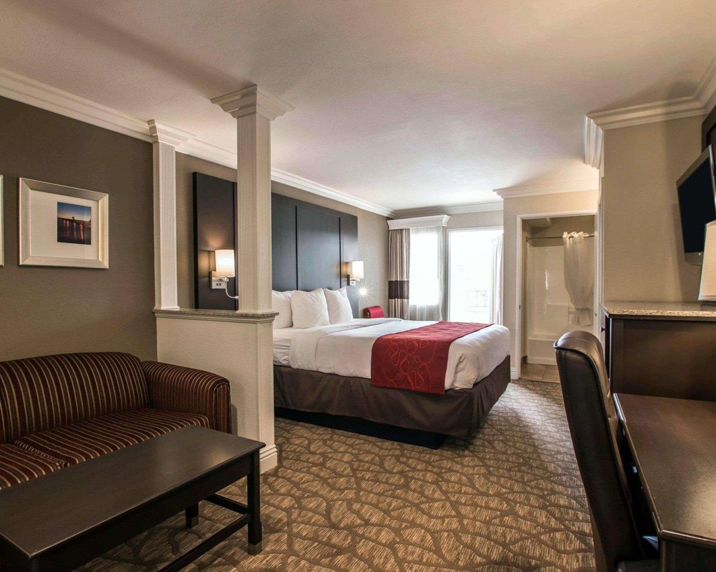 Suite King Bed Non Smoking