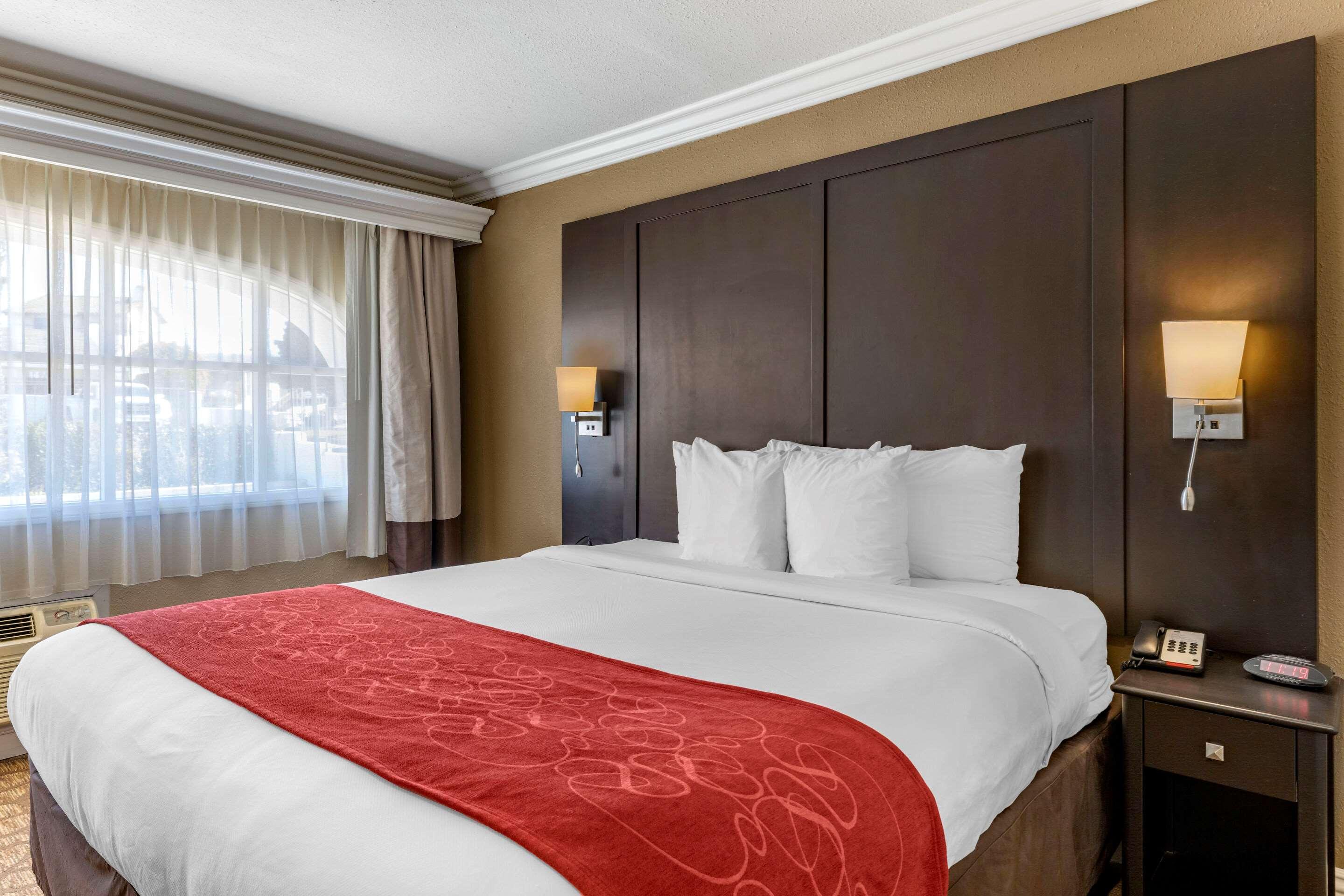 Suite King Bed Non Smoking