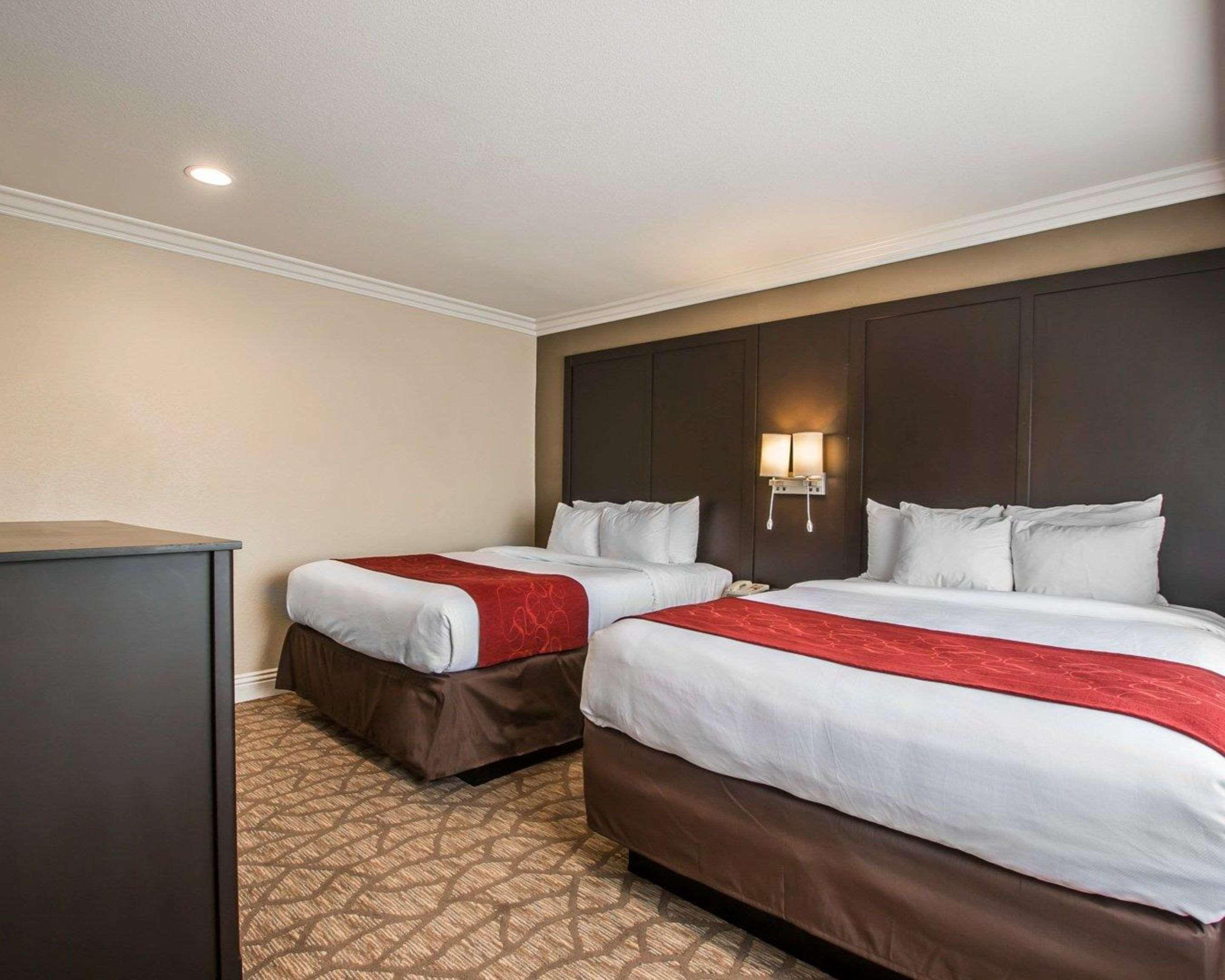 Suite Two Queen Beds