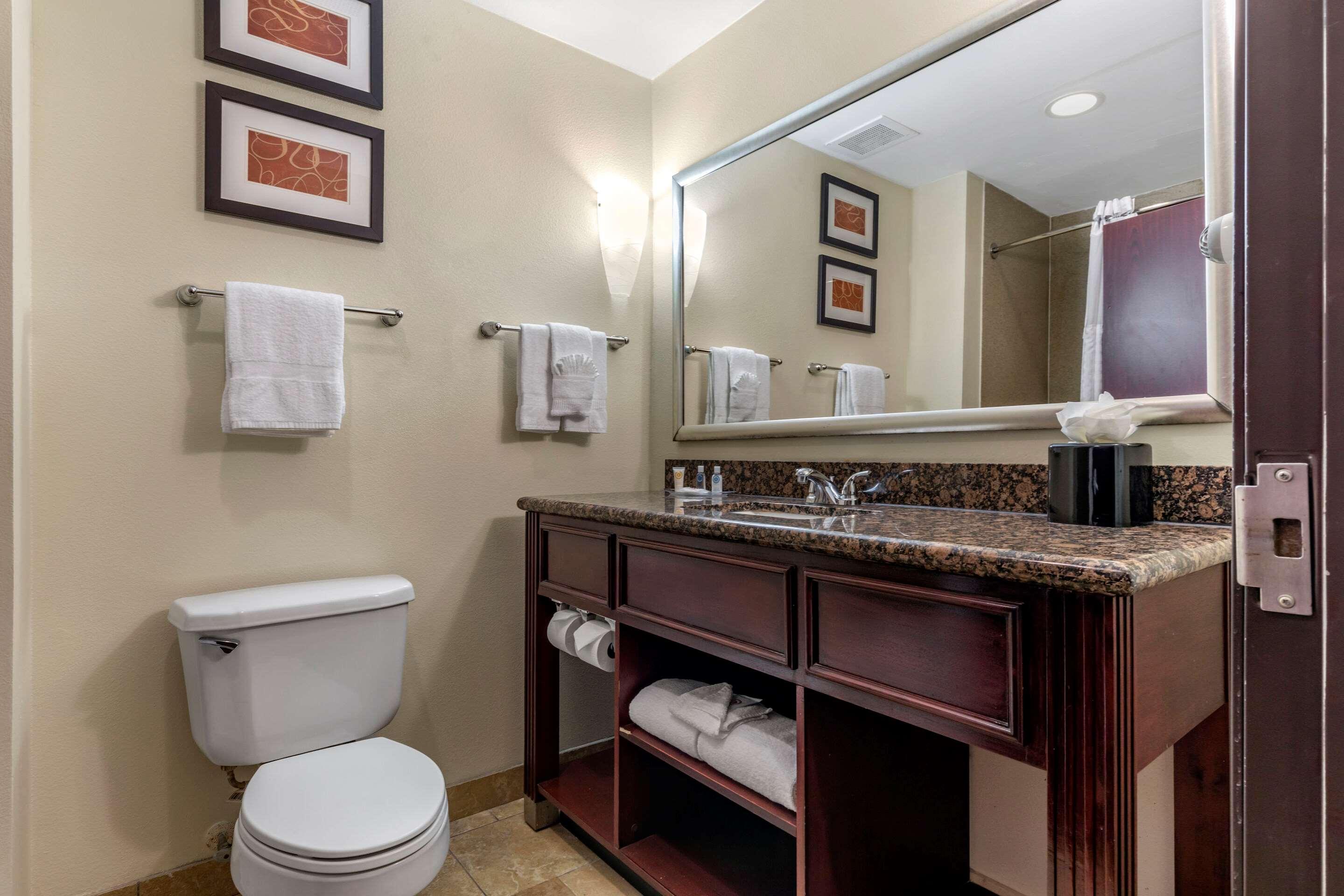 Suite King Bed Non Smoking