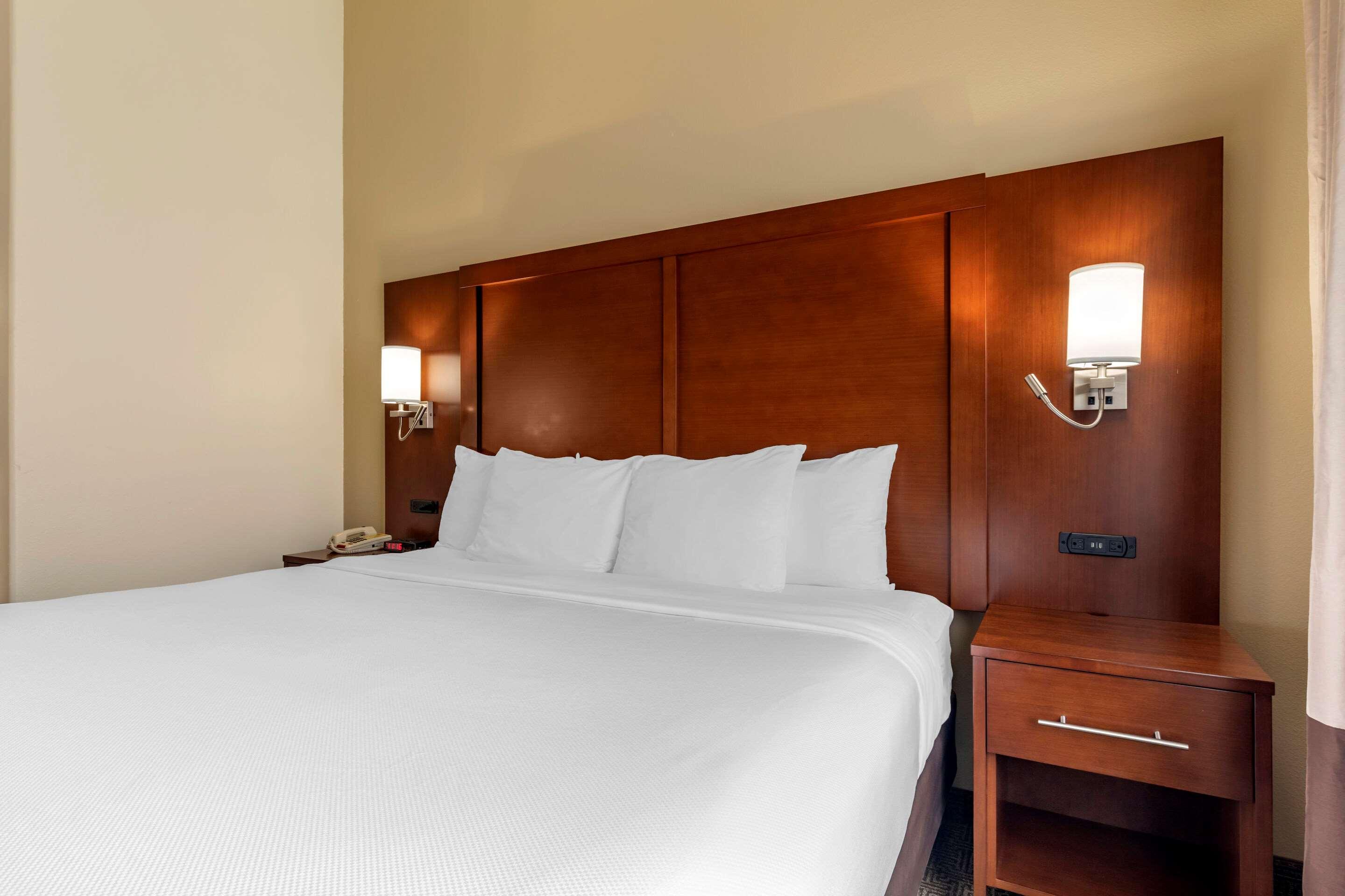 Suite King Bed Non Smoking