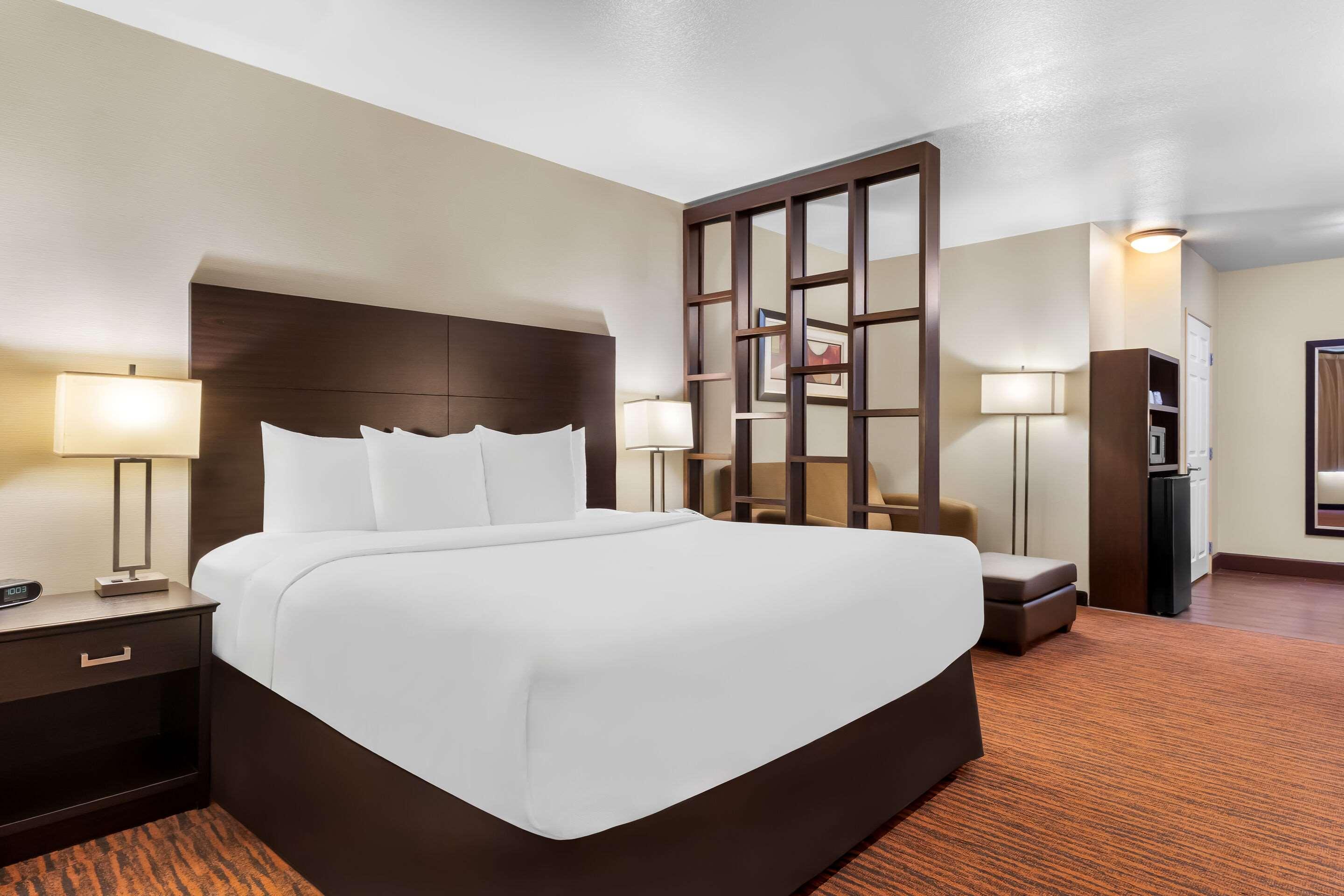 Suite King Bed Non Smoking