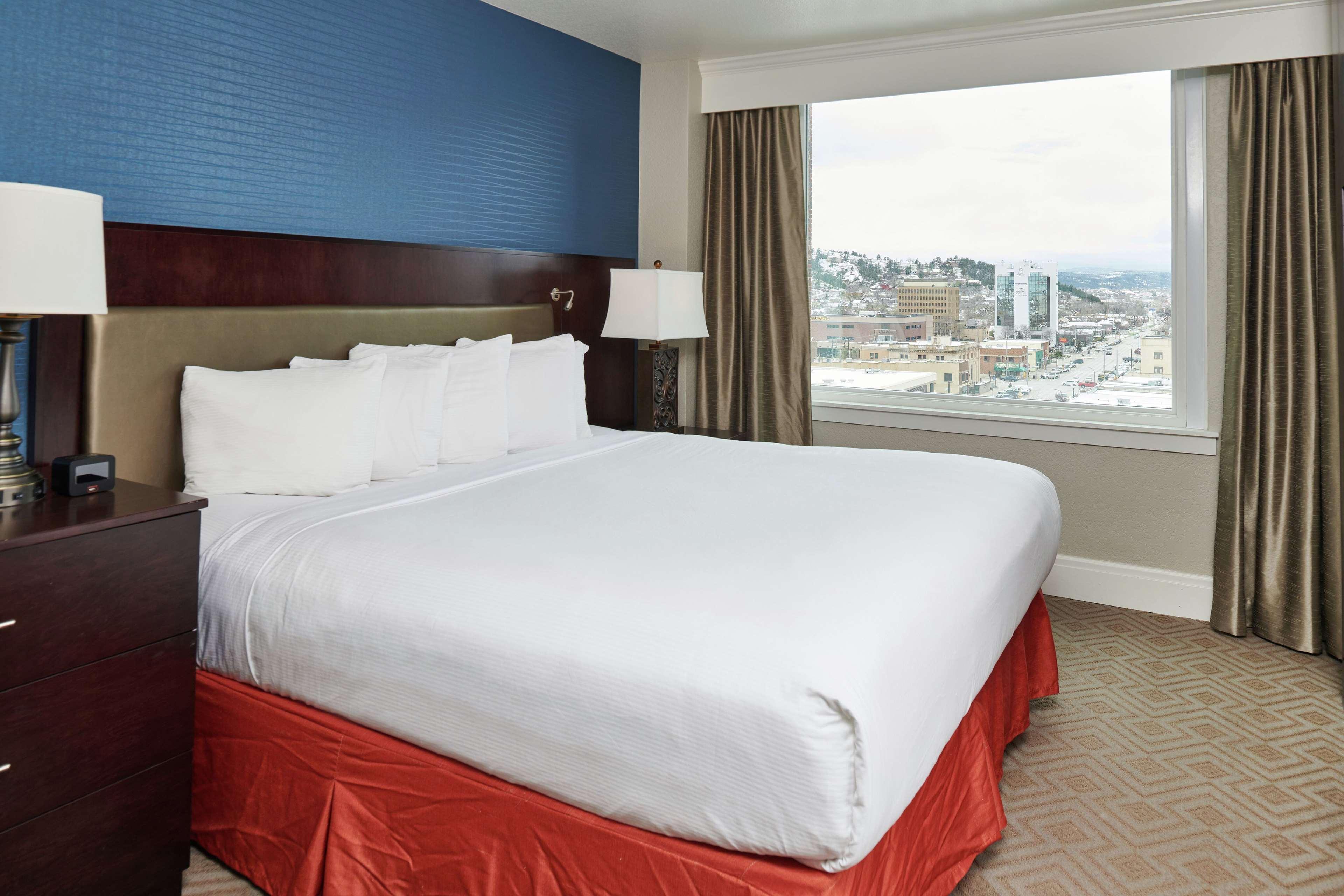 Suite King Bed One Bedroom 