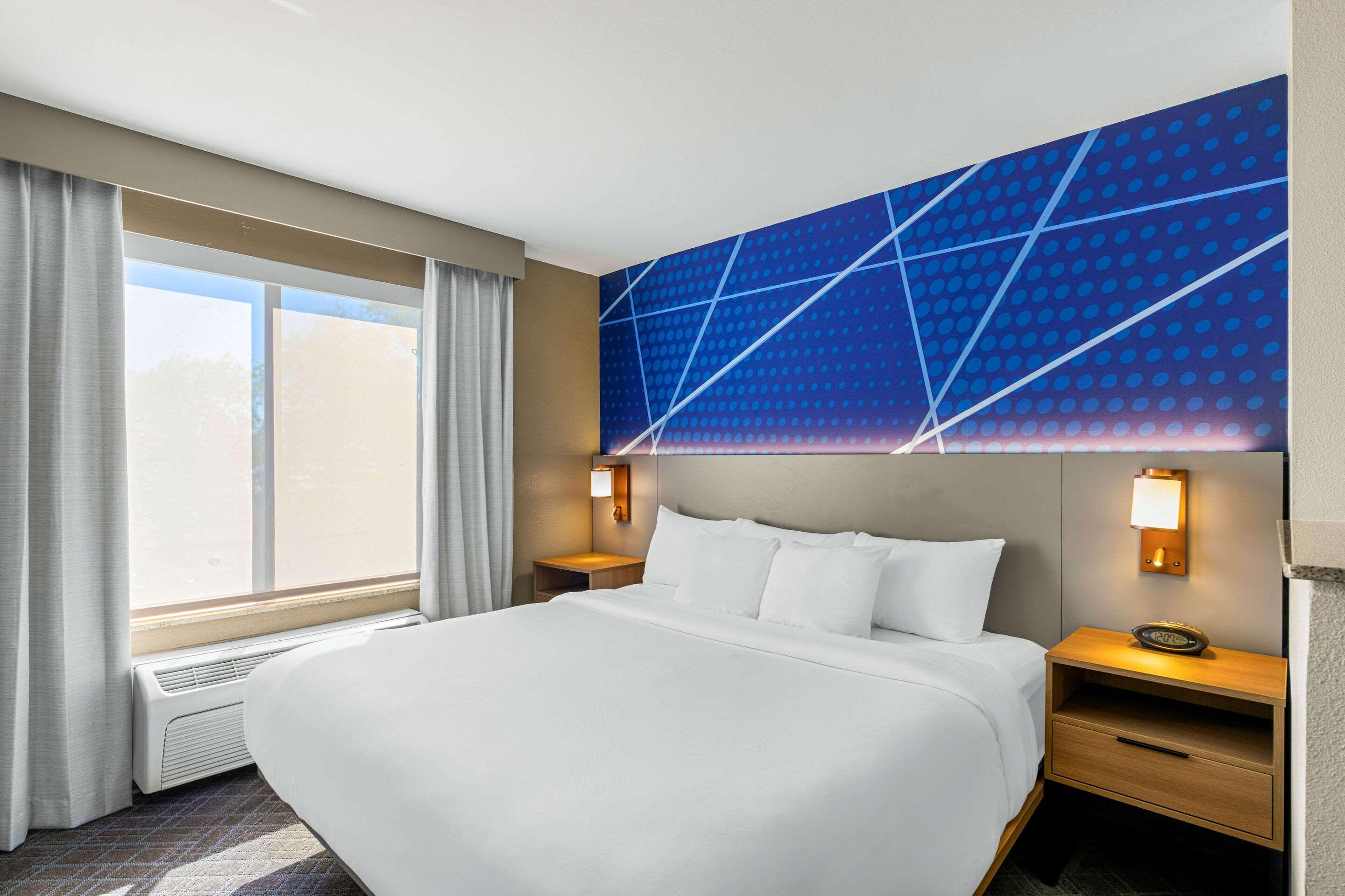 Suite King Bed Non Smoking