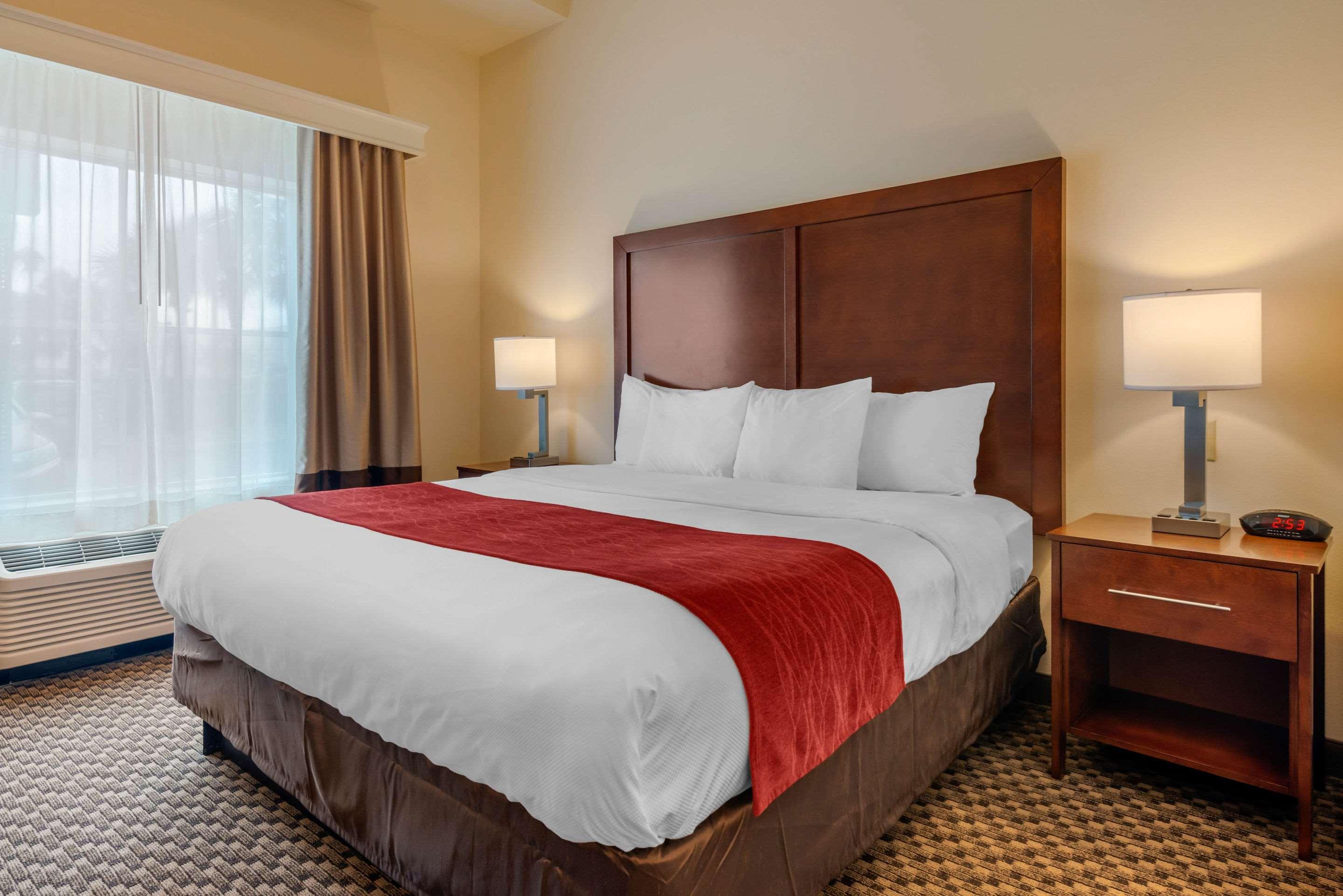 Suite King Bed Non Smoking