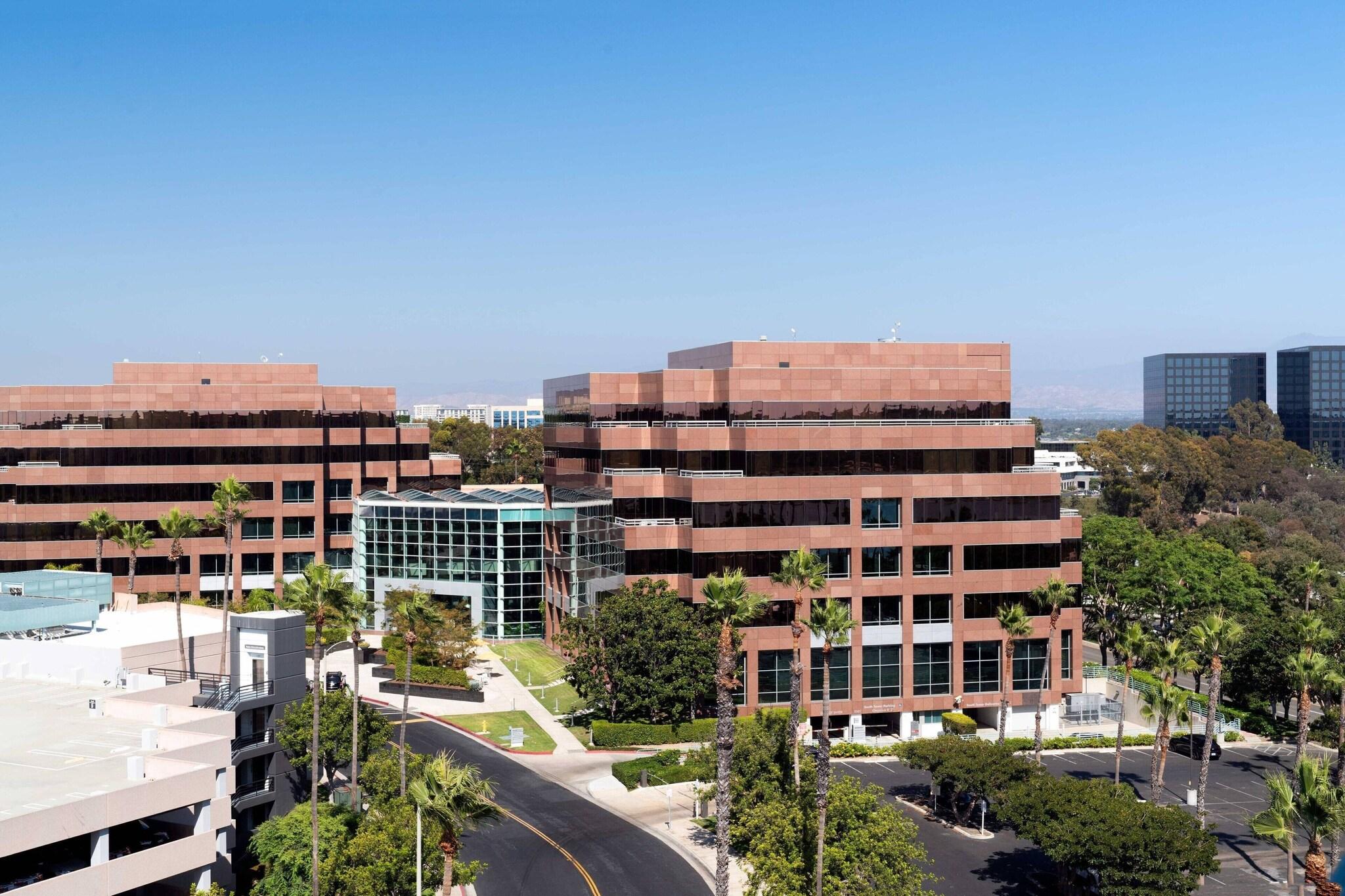 Suite King Bed One Bedroom 
