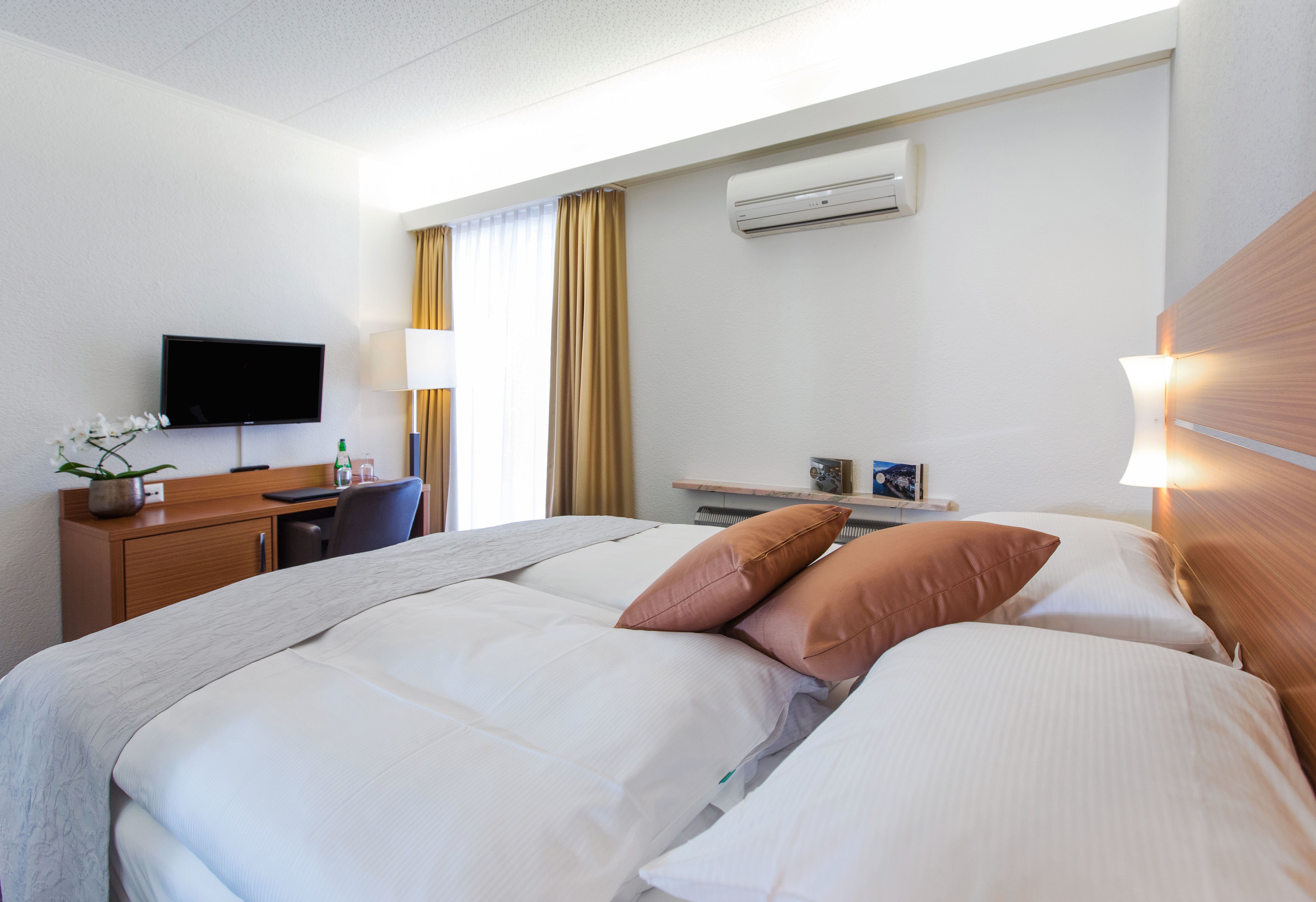 Single Mountain View