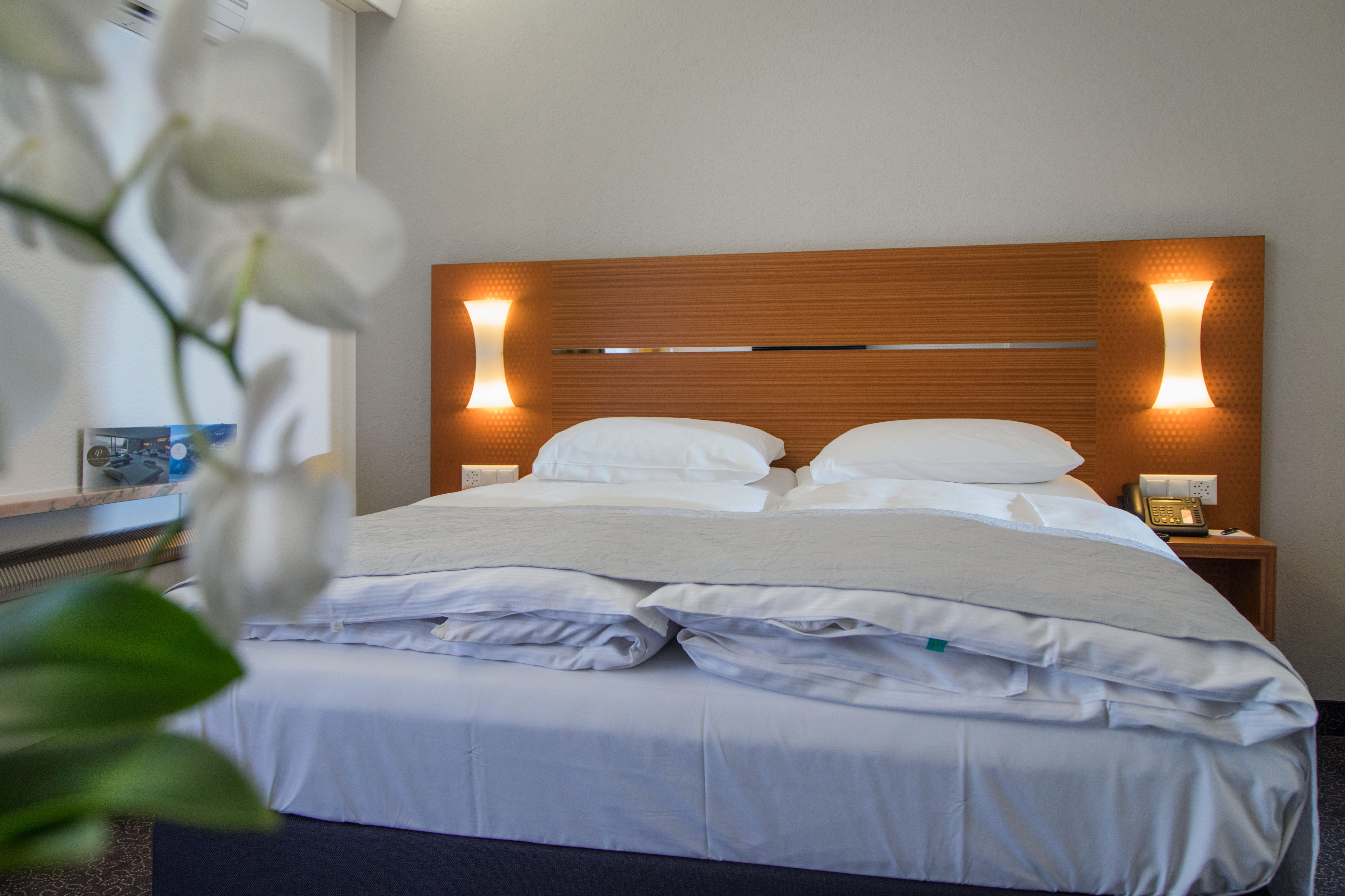 Single Mountain View