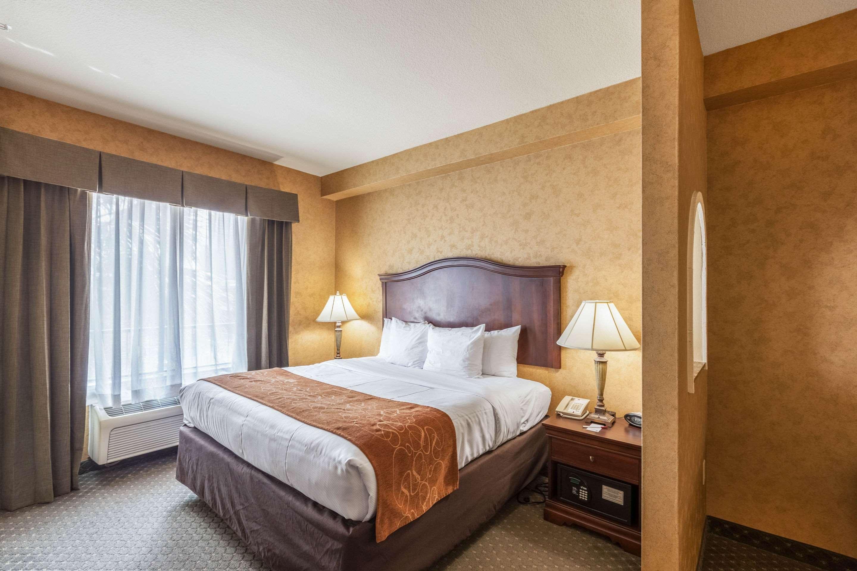 Suite King Bed Non Smoking