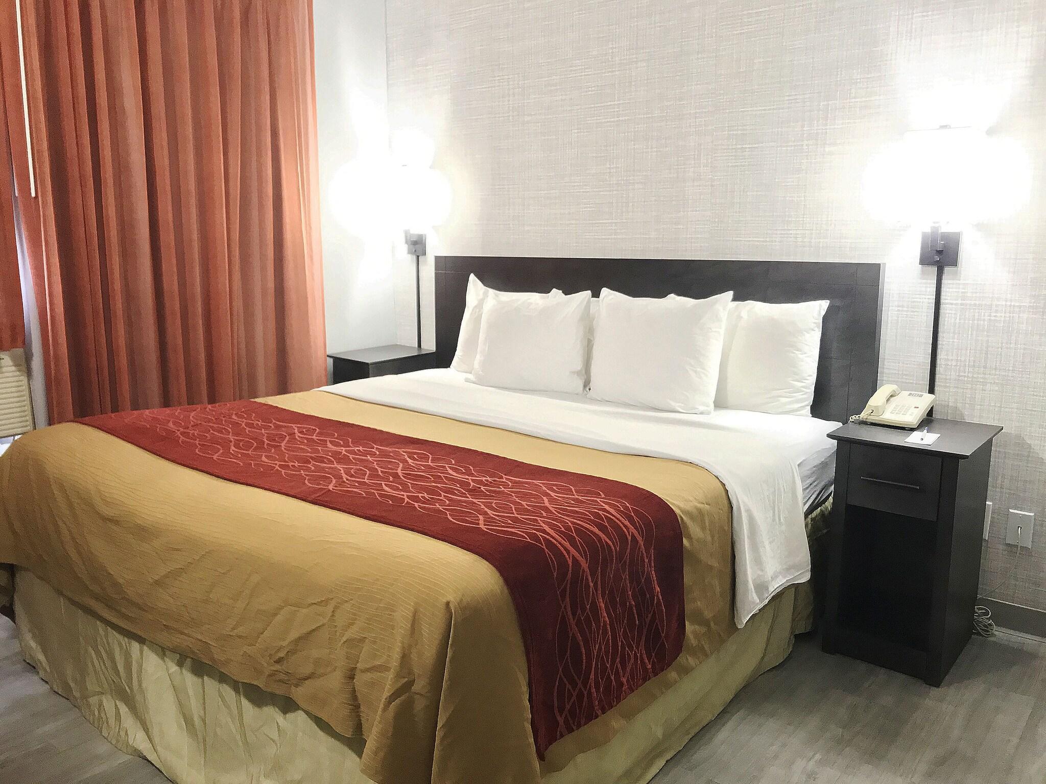 Double King Bed Non Smoking