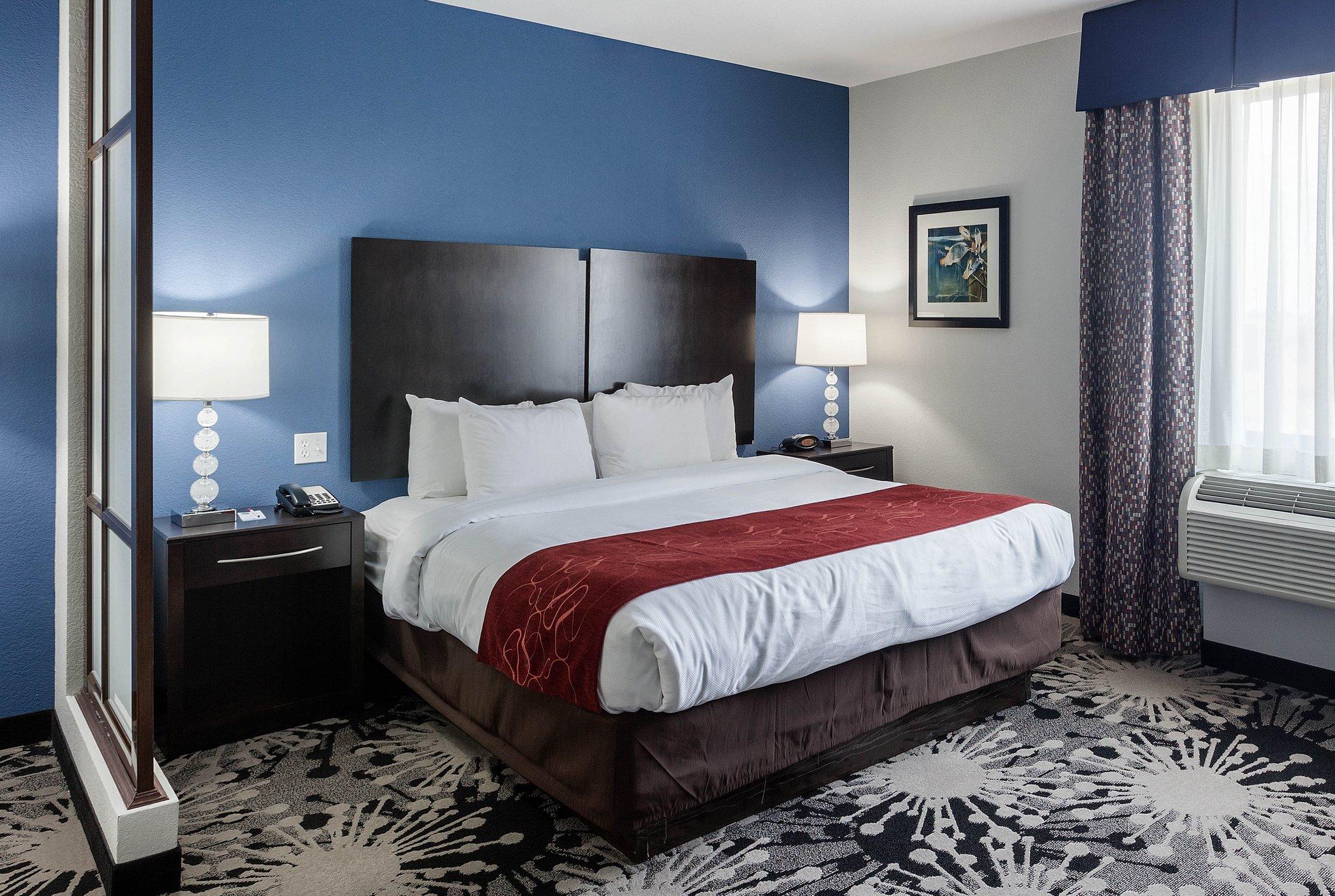 Suite King Bed Non Smoking