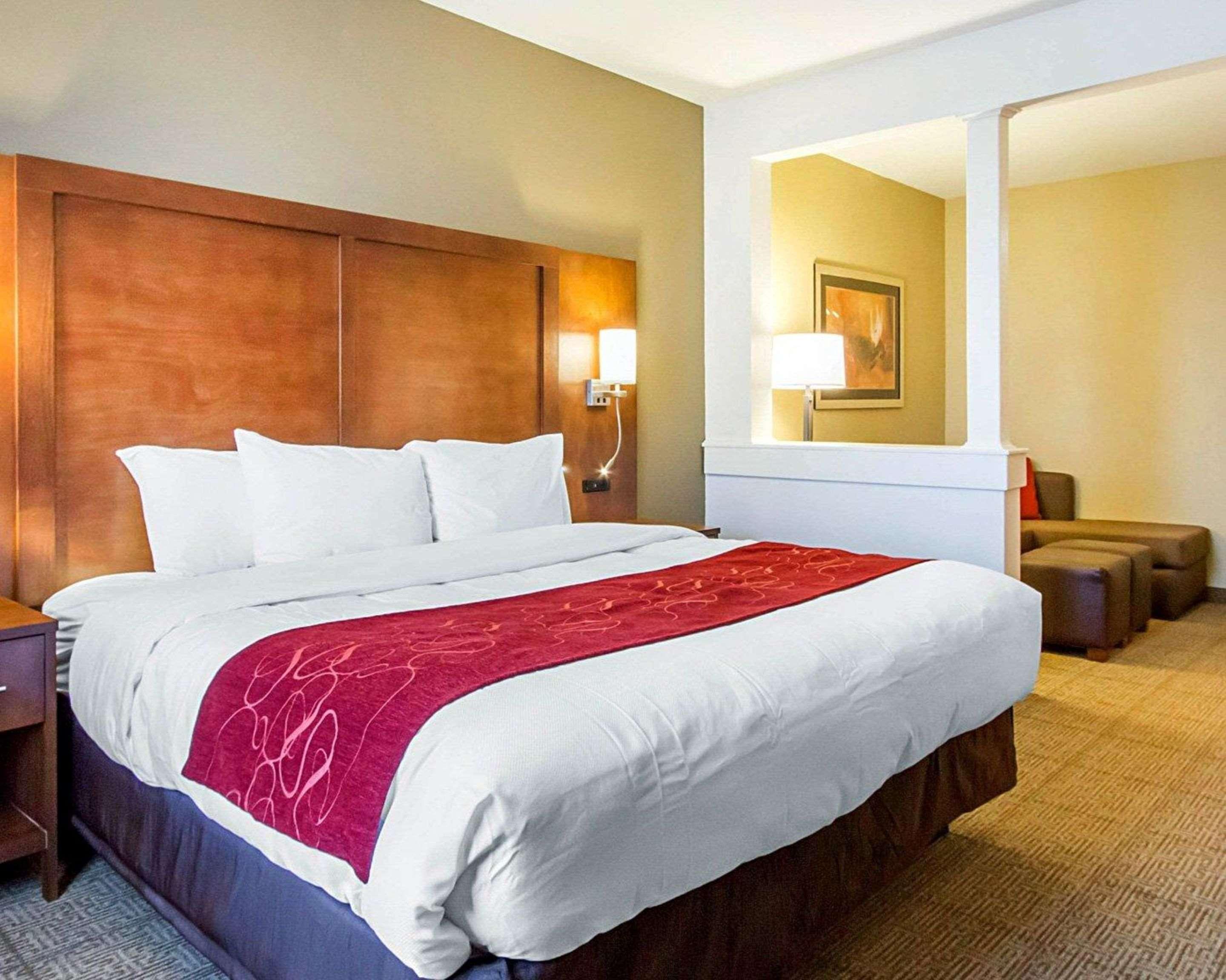 Suite King Bed Non Smoking