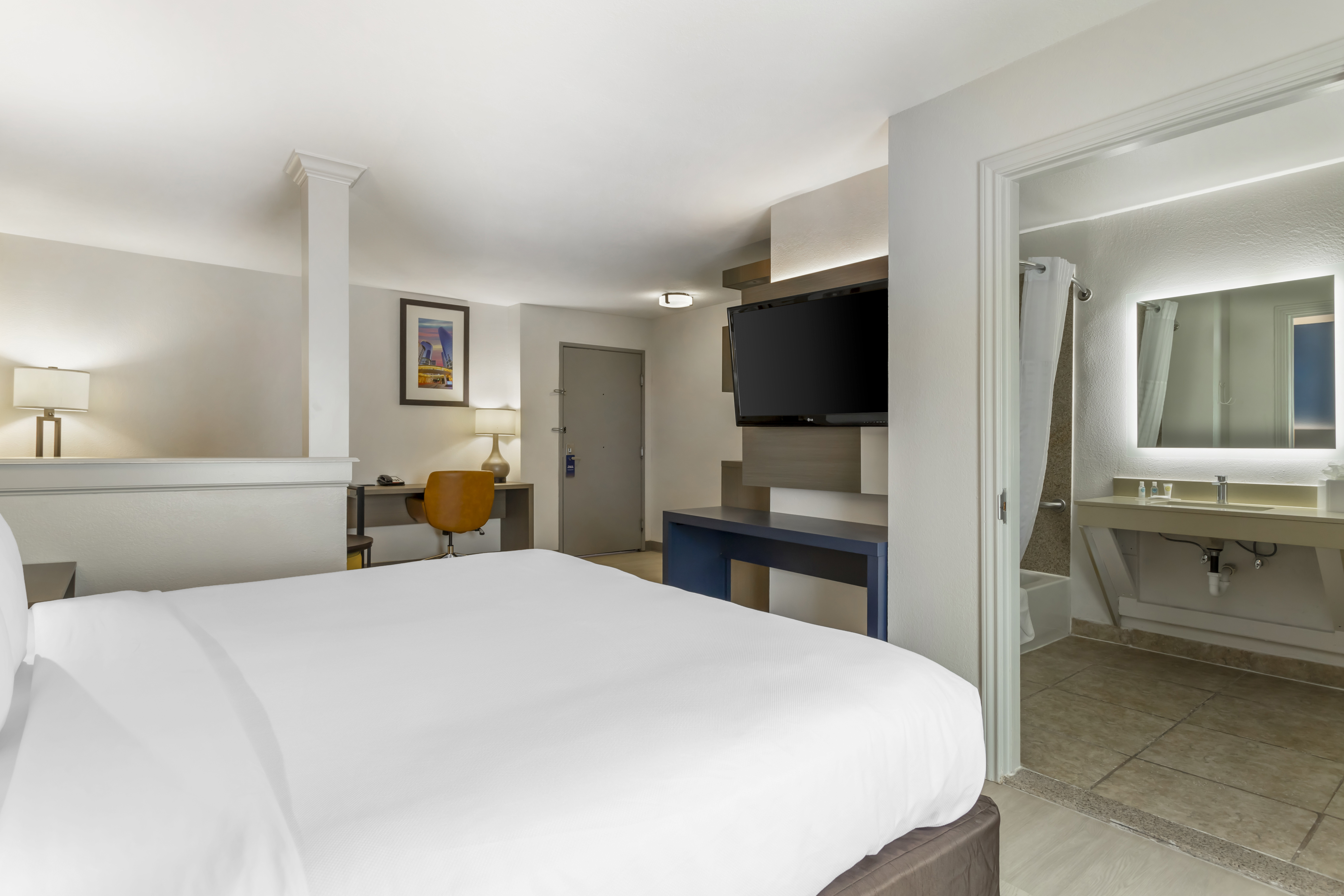 Suite King Bed Non Smoking