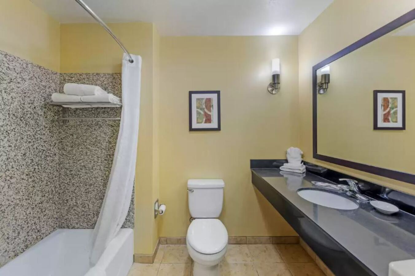 Suite King Bed Non Smoking