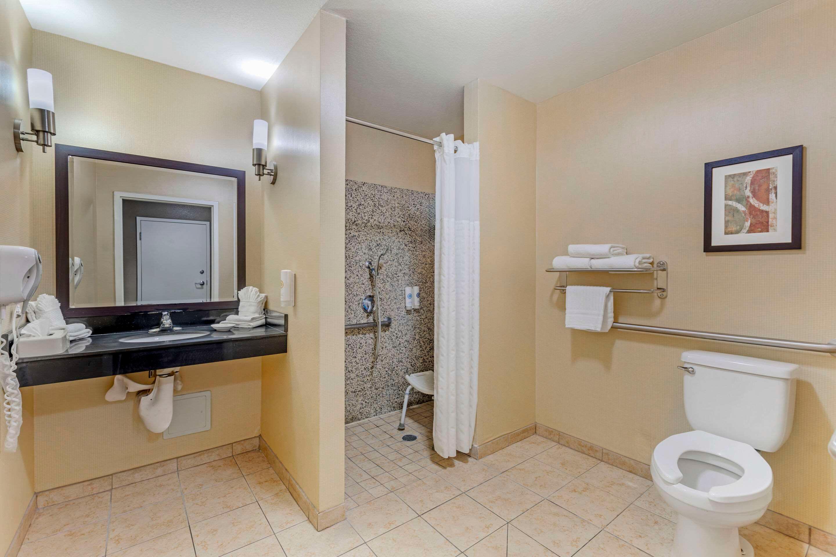 Suite King Bed Non Smoking