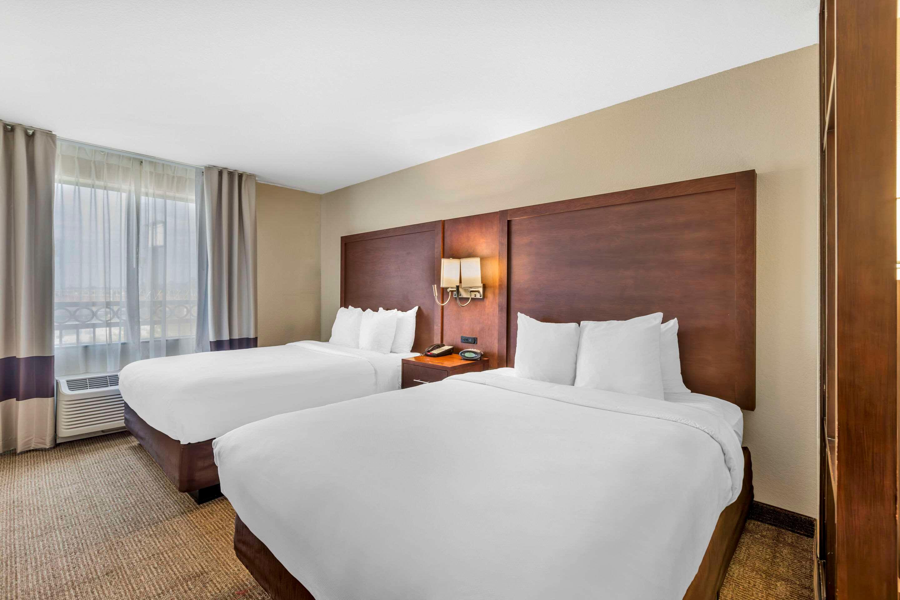 Suite Two Queen Beds