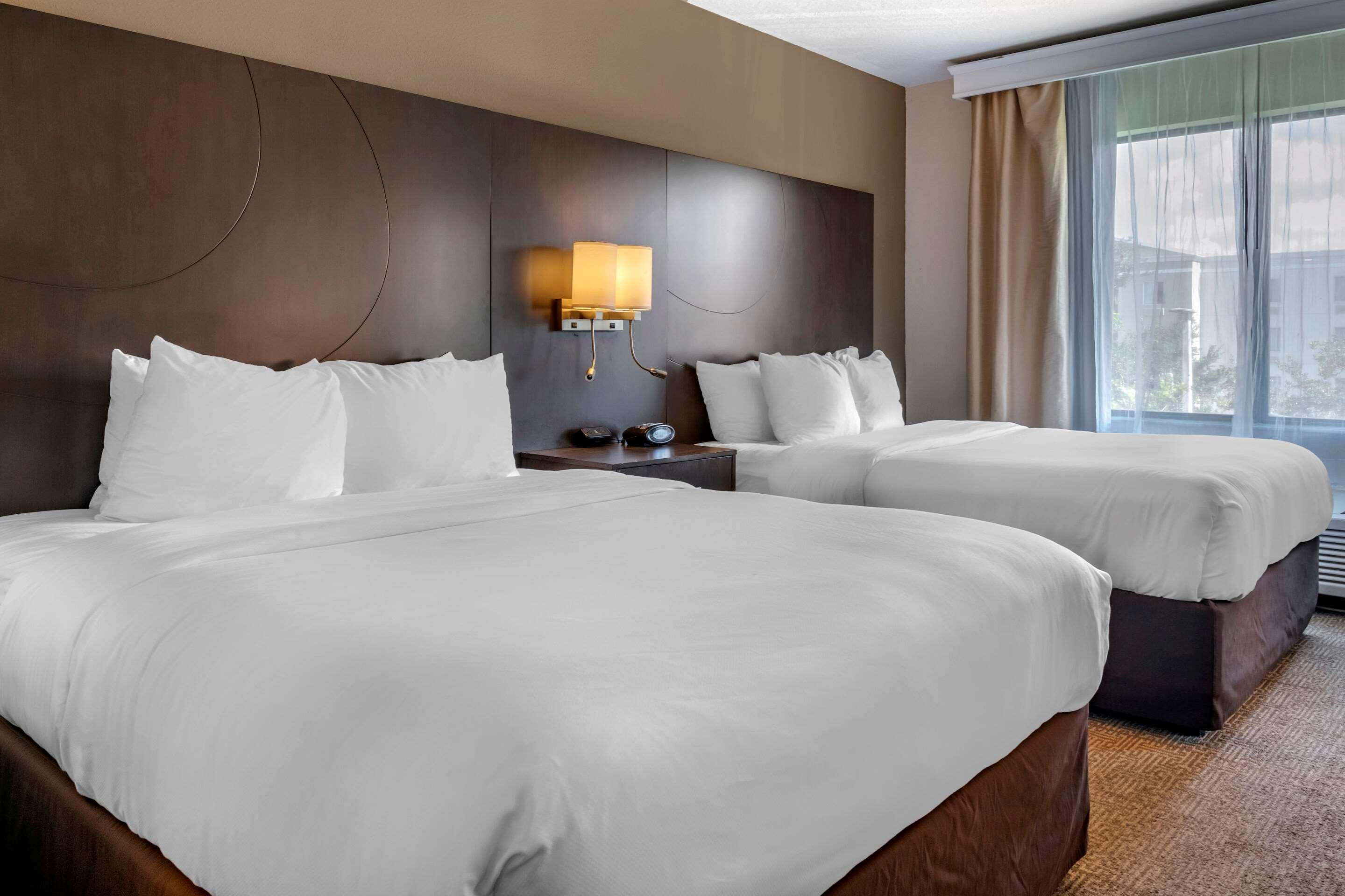 Suite Two Queen Beds