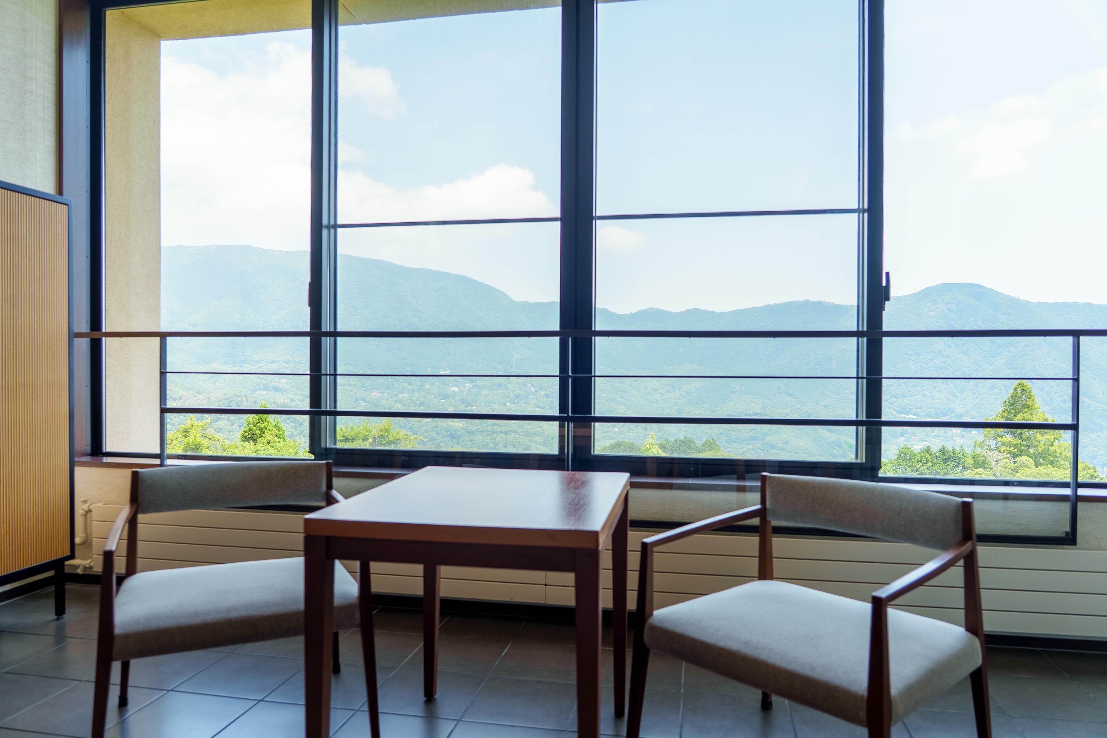 Twin Mountain View