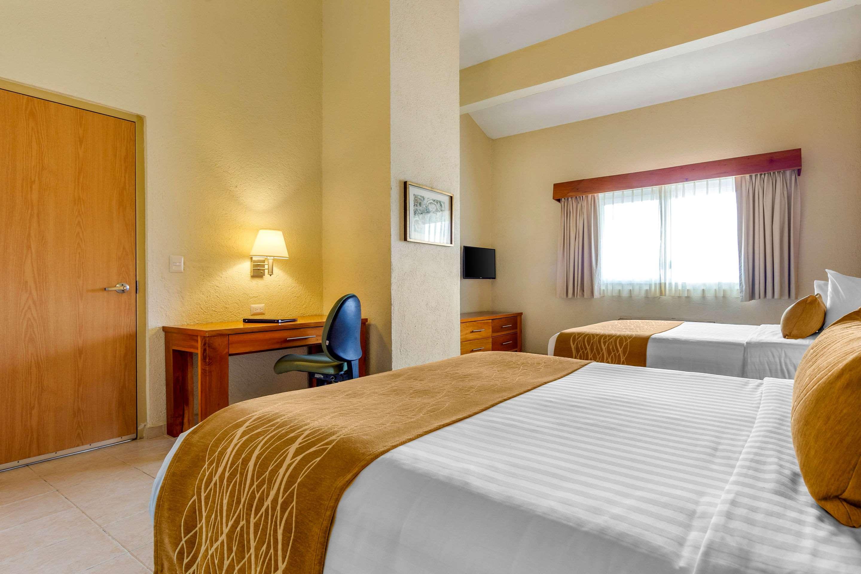 Suite Two Double Beds