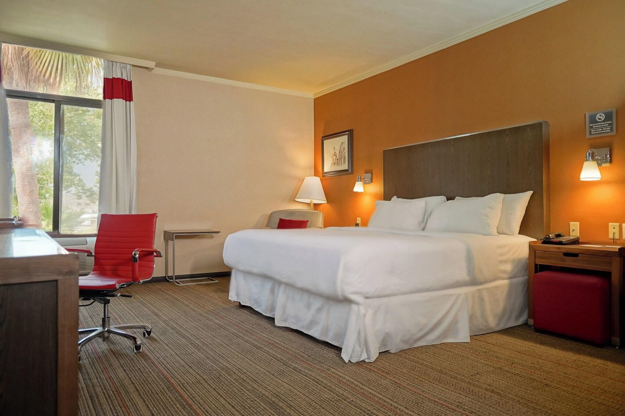 Suite King Bed Non Smoking