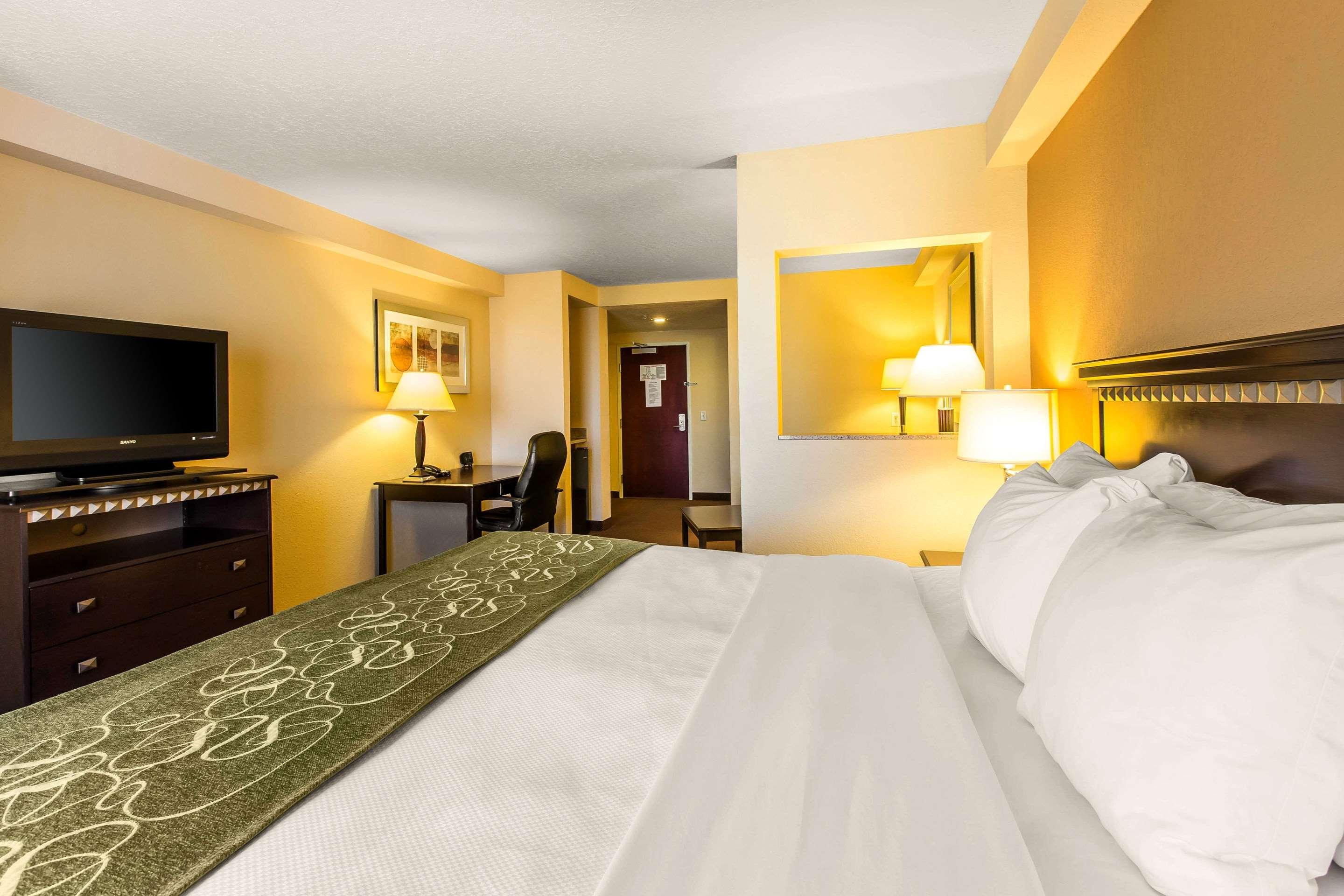 Suite King Bed Non Smoking