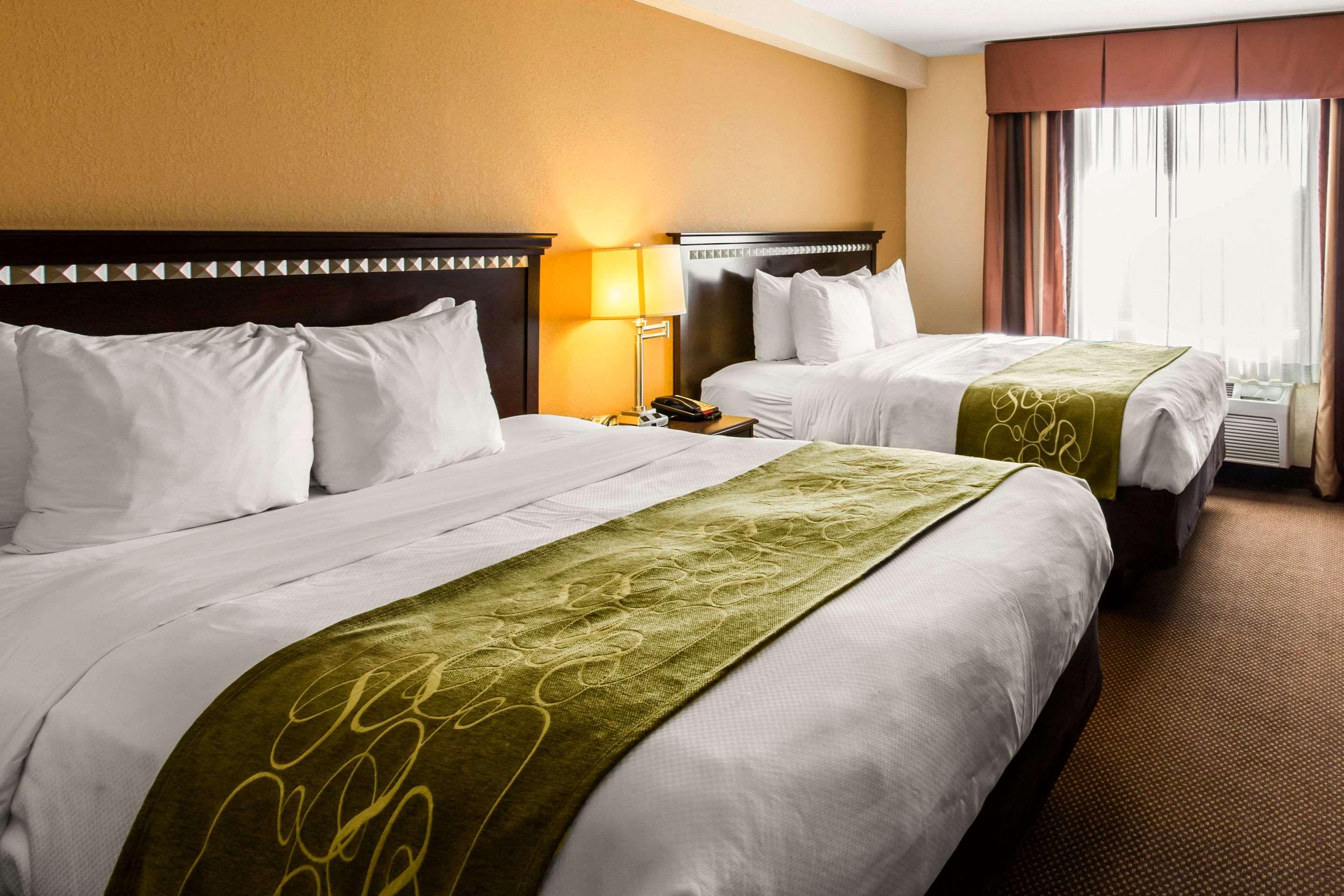 Suite Two Queen Beds Non Smoking