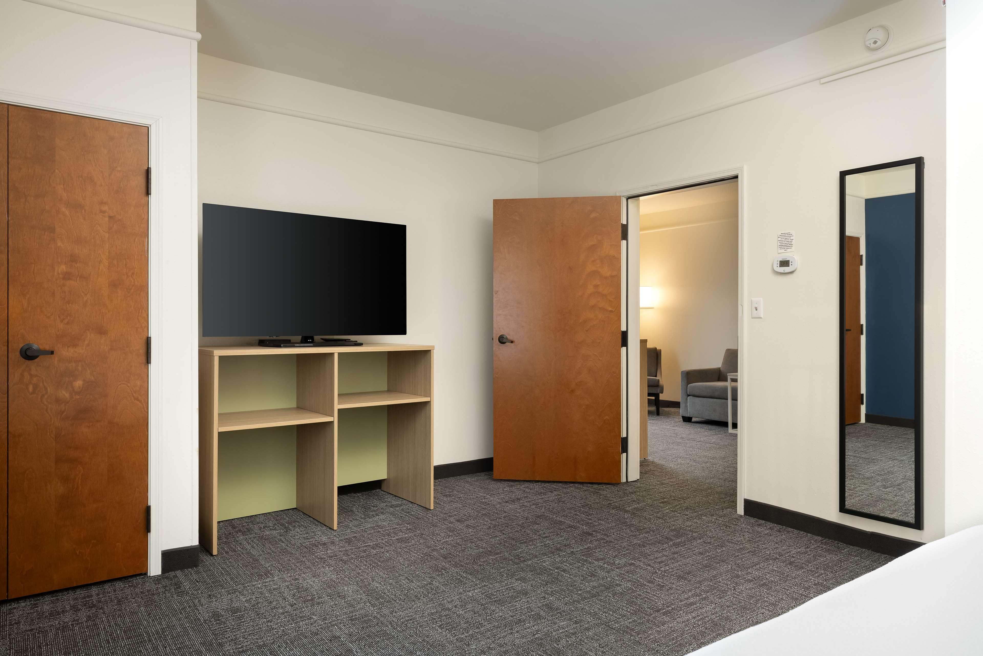 Suite King Bed One Bedroom 