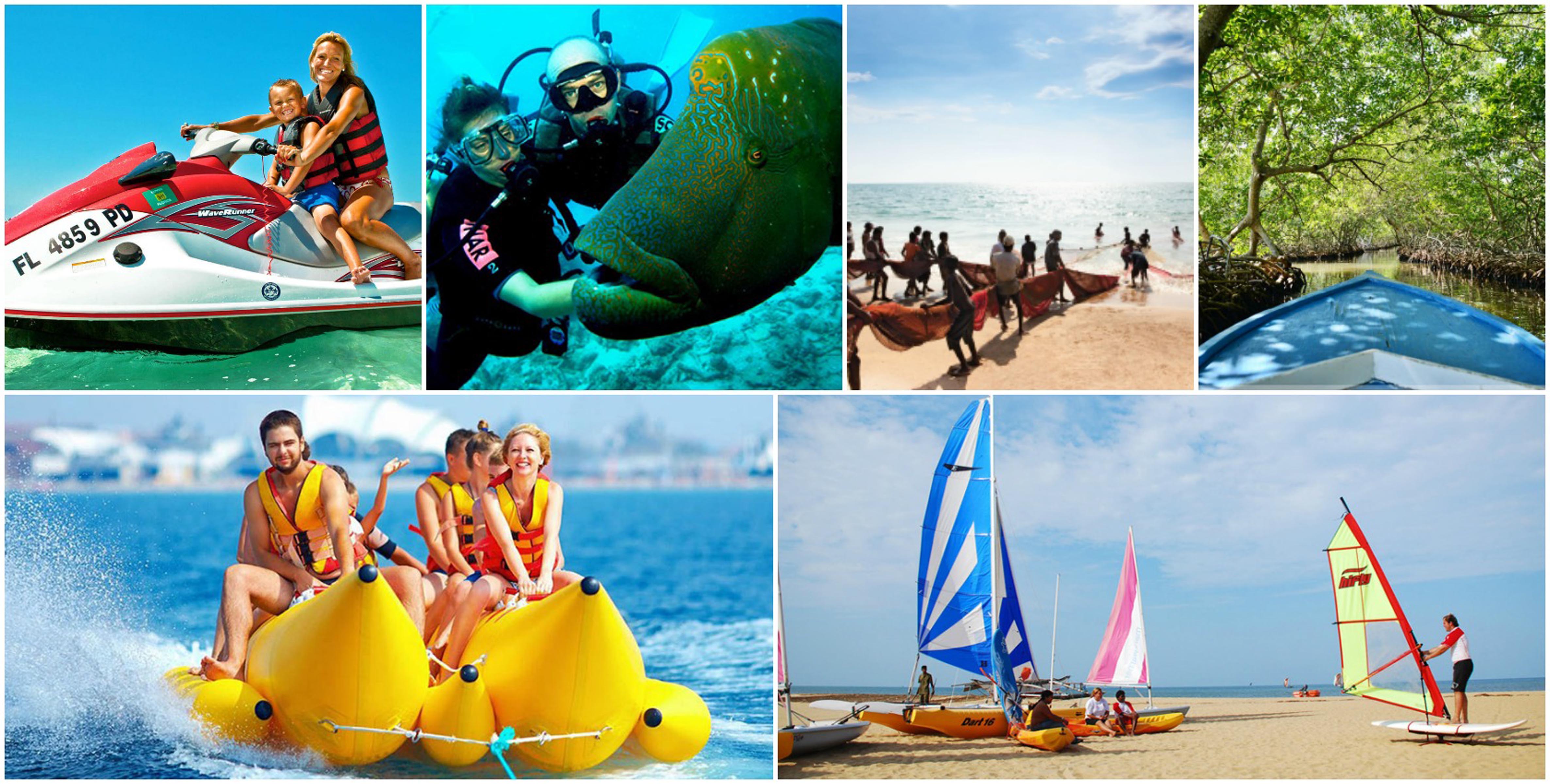 Sports and Entertainment