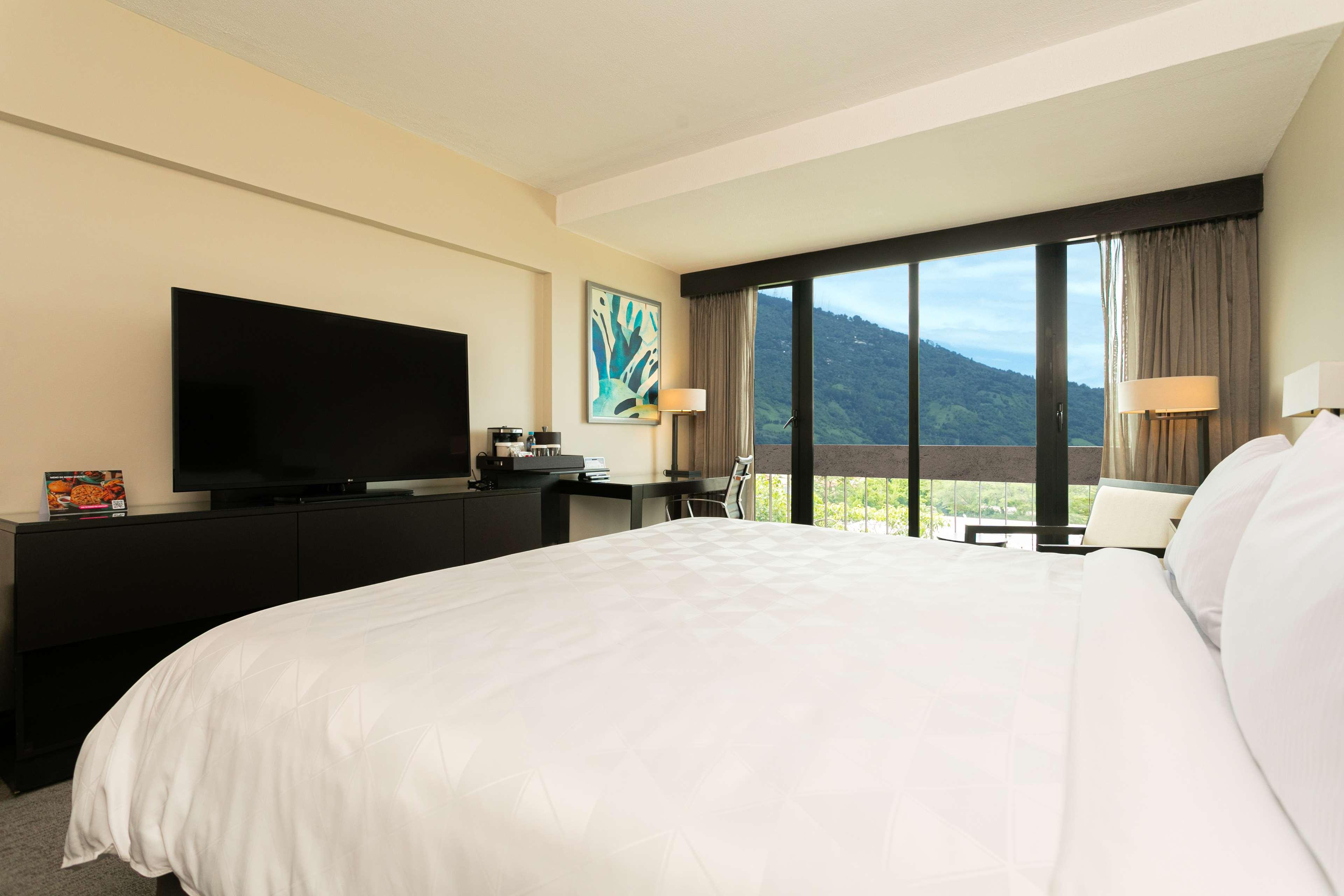 Double King Bed Non Smoking