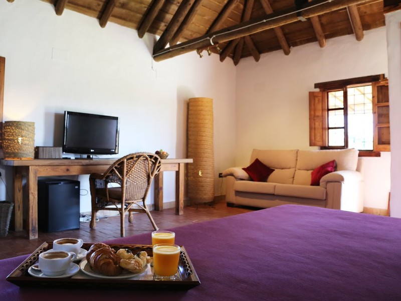 Junior Suite Standard