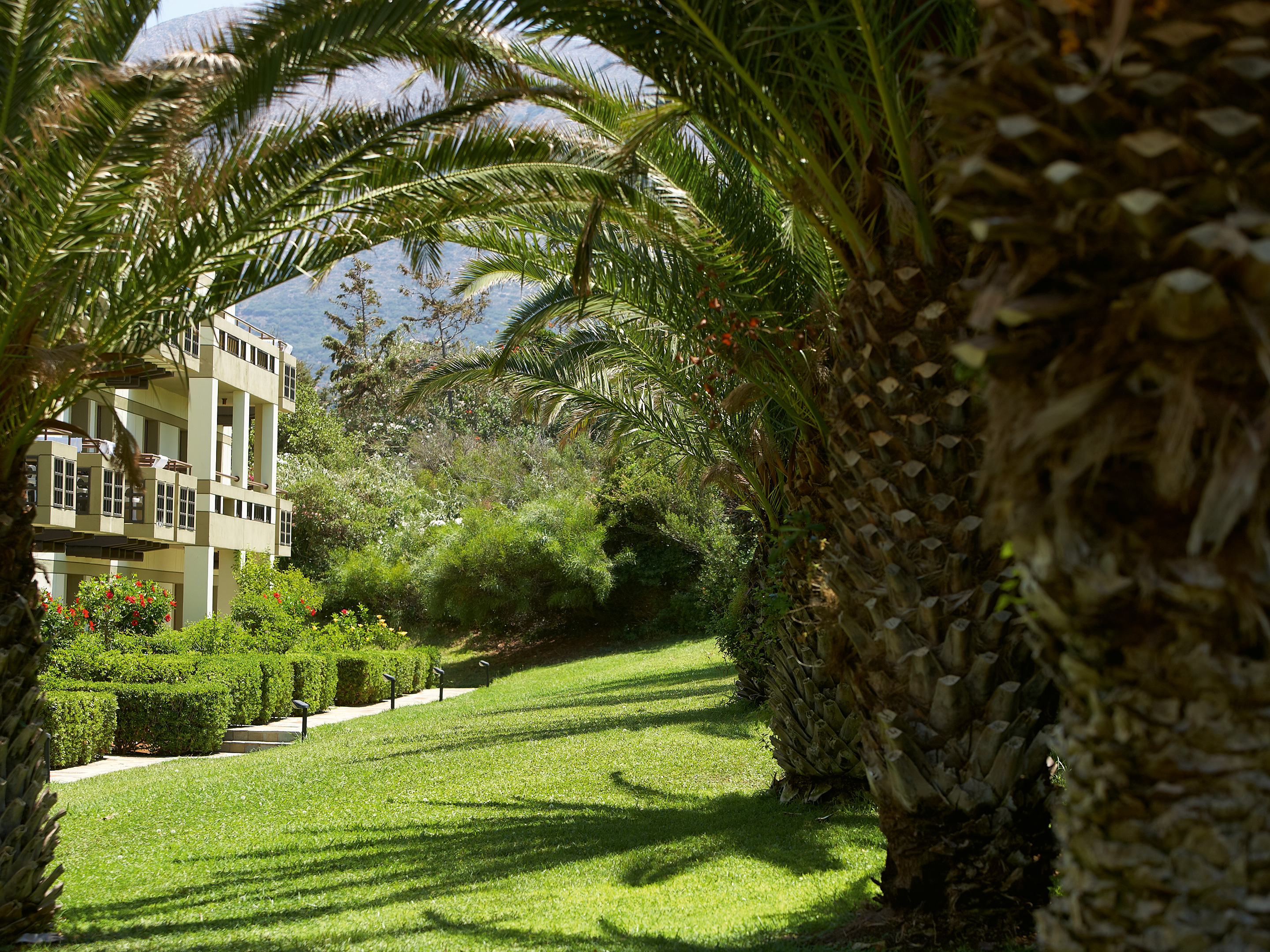 Family Room Garden View