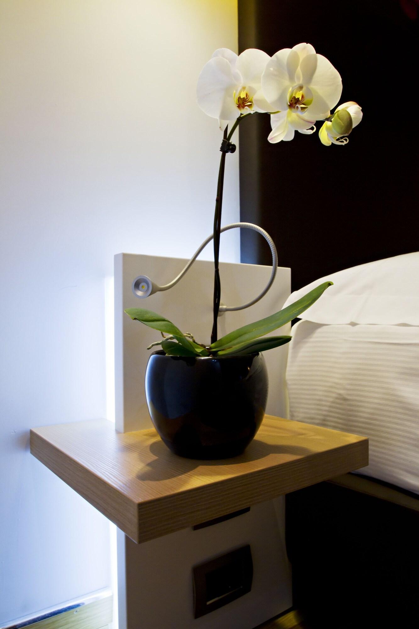 Junior Suite with Double Bed