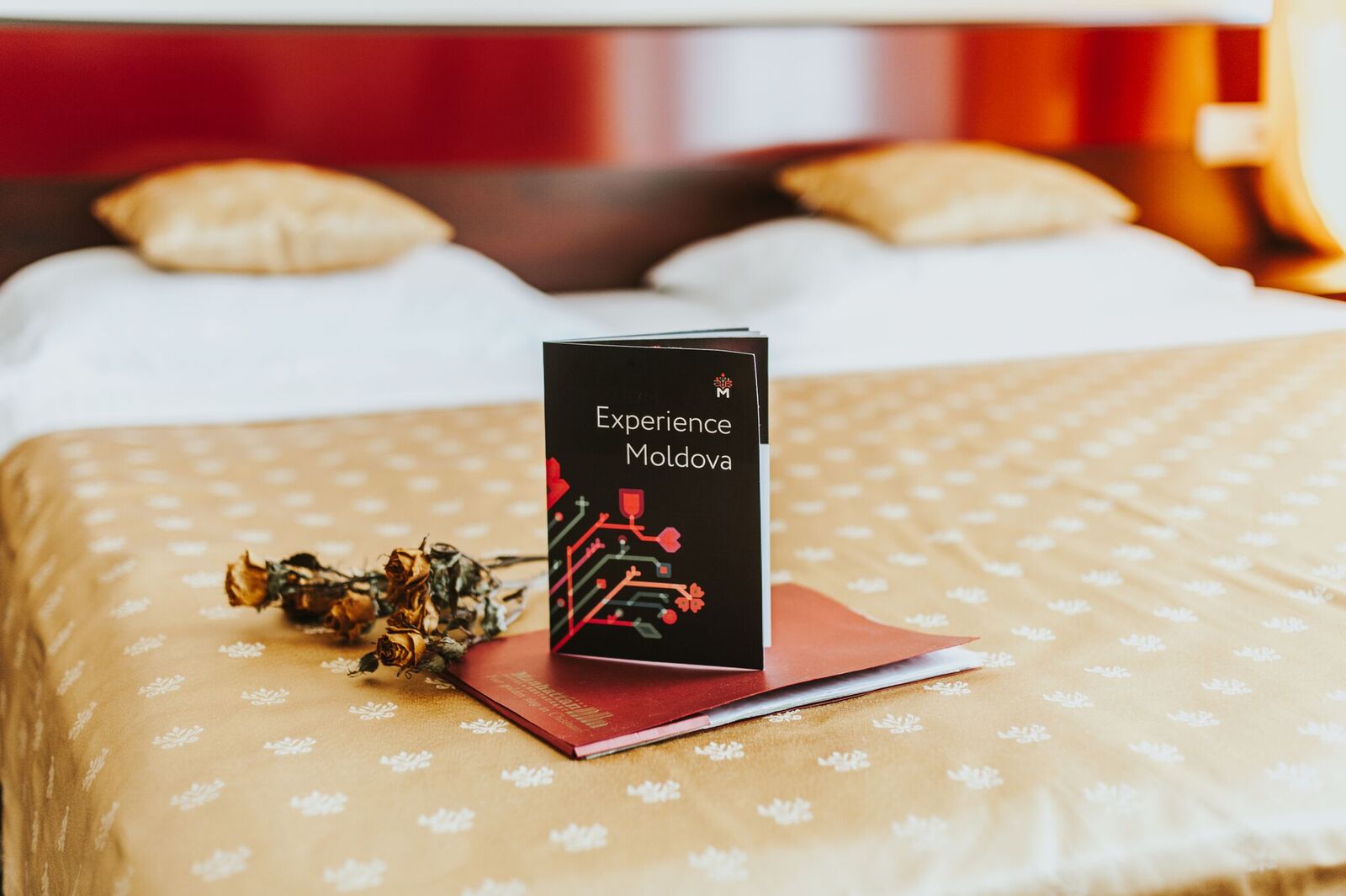 Junior Suite Capacity 1