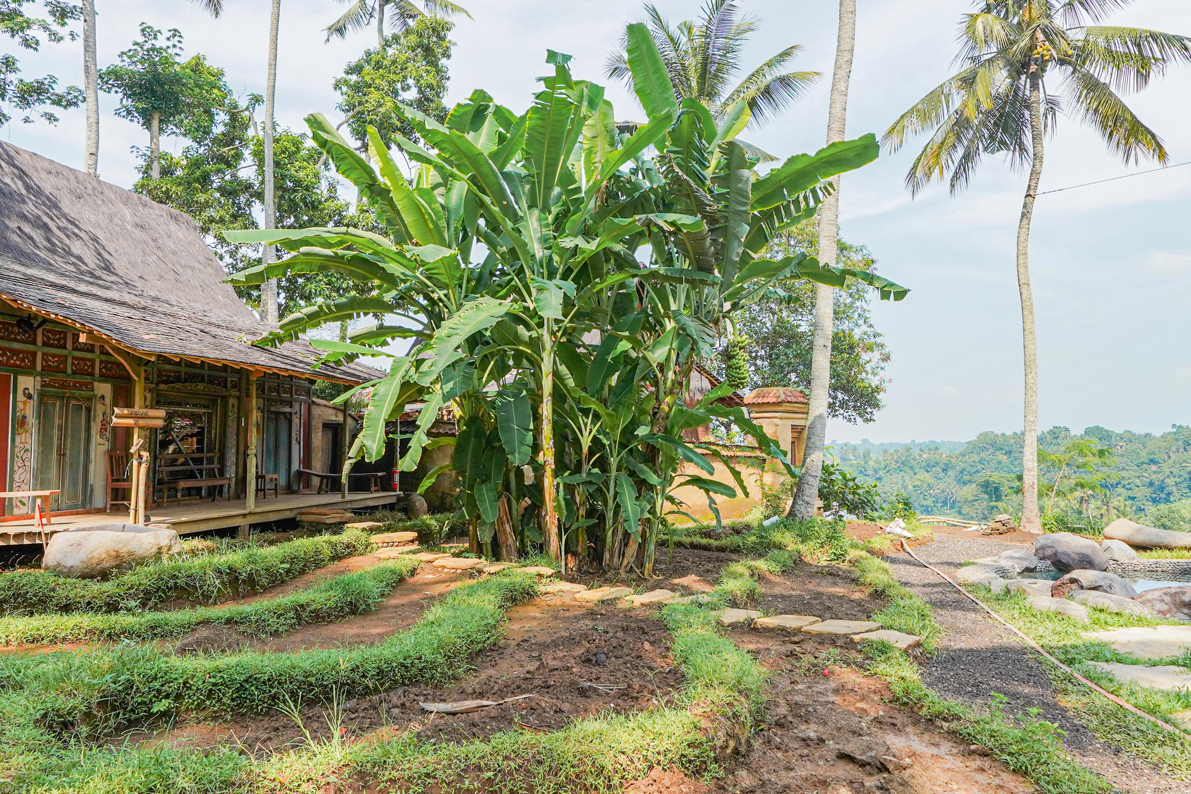 Suite Garden View One Bedroom