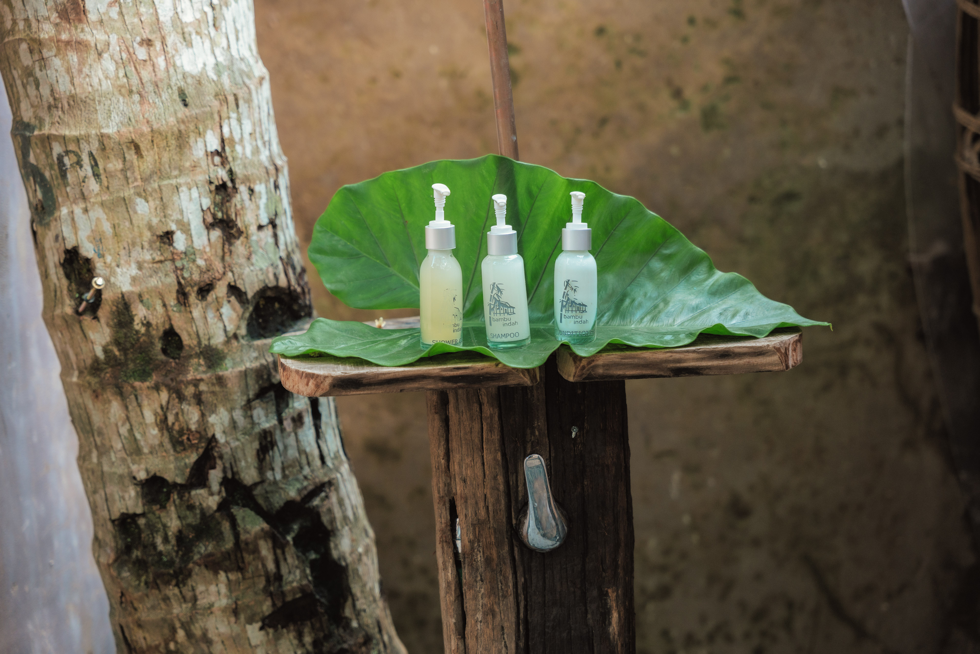 Double Queen Size Bed