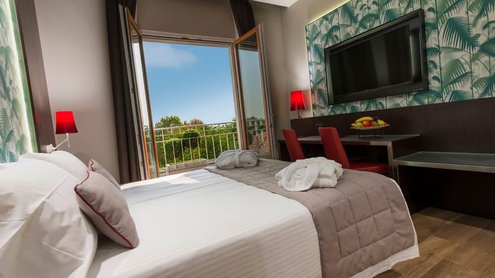 Double Deluxe Park View