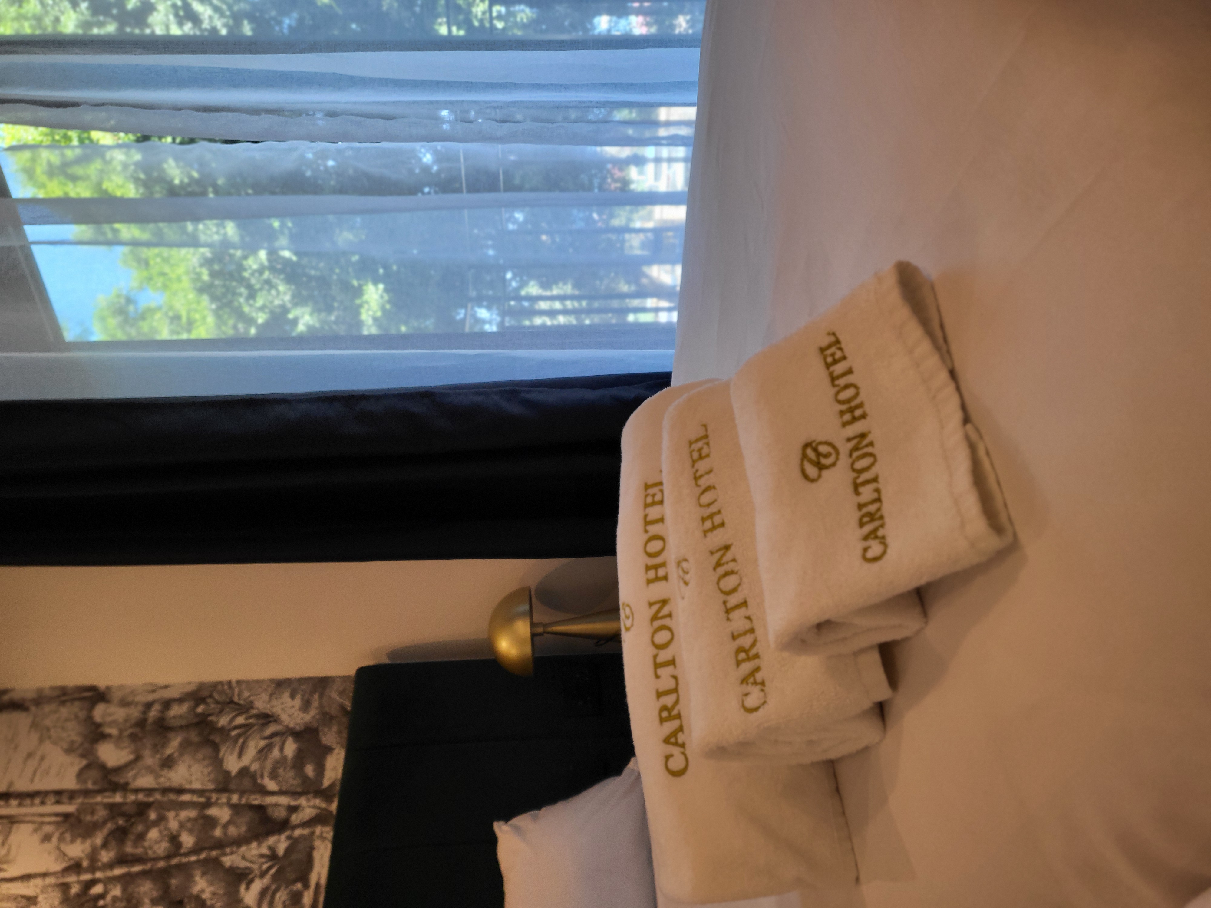 Double Single Economy