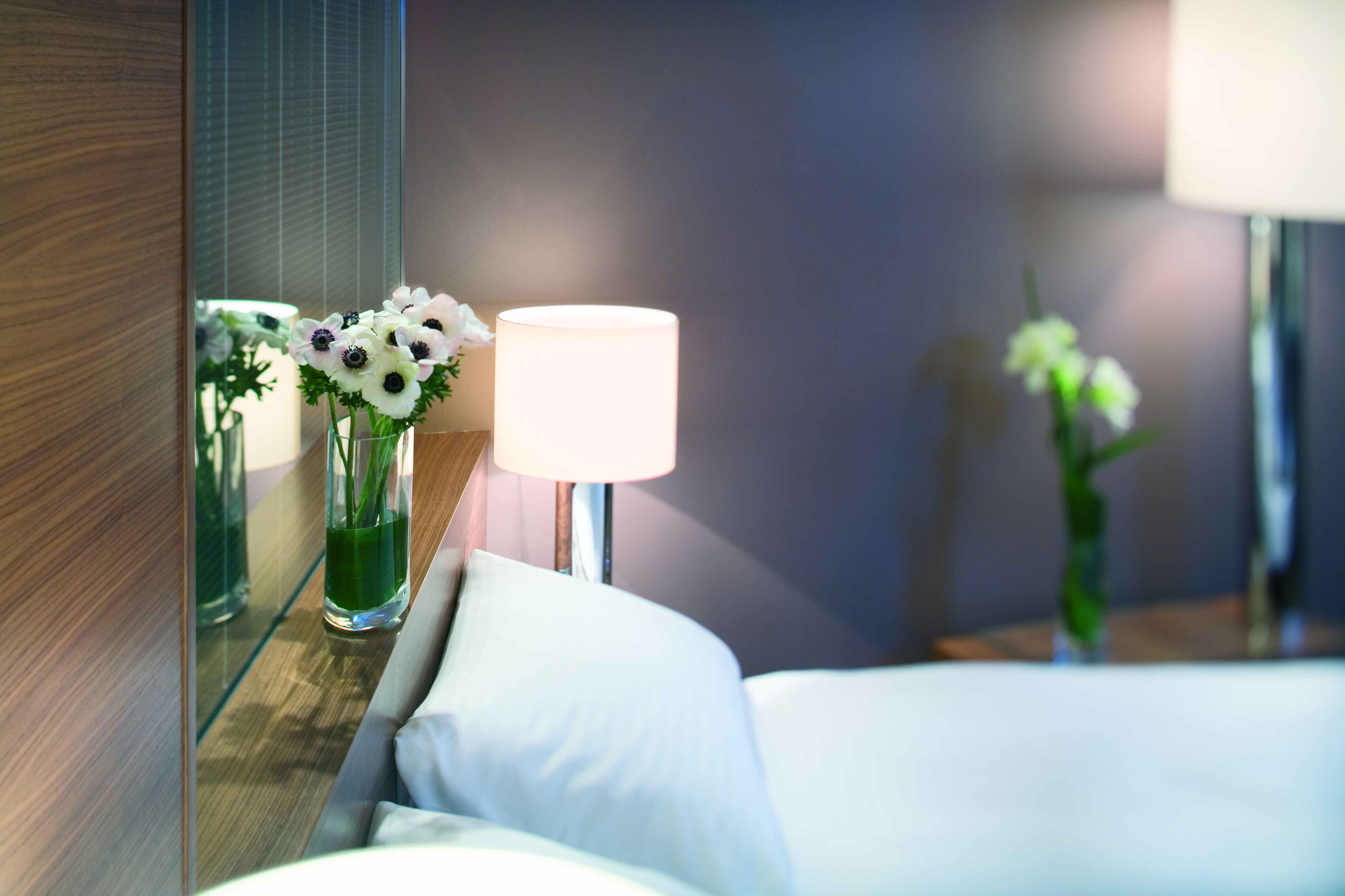 Room Superior King Bed