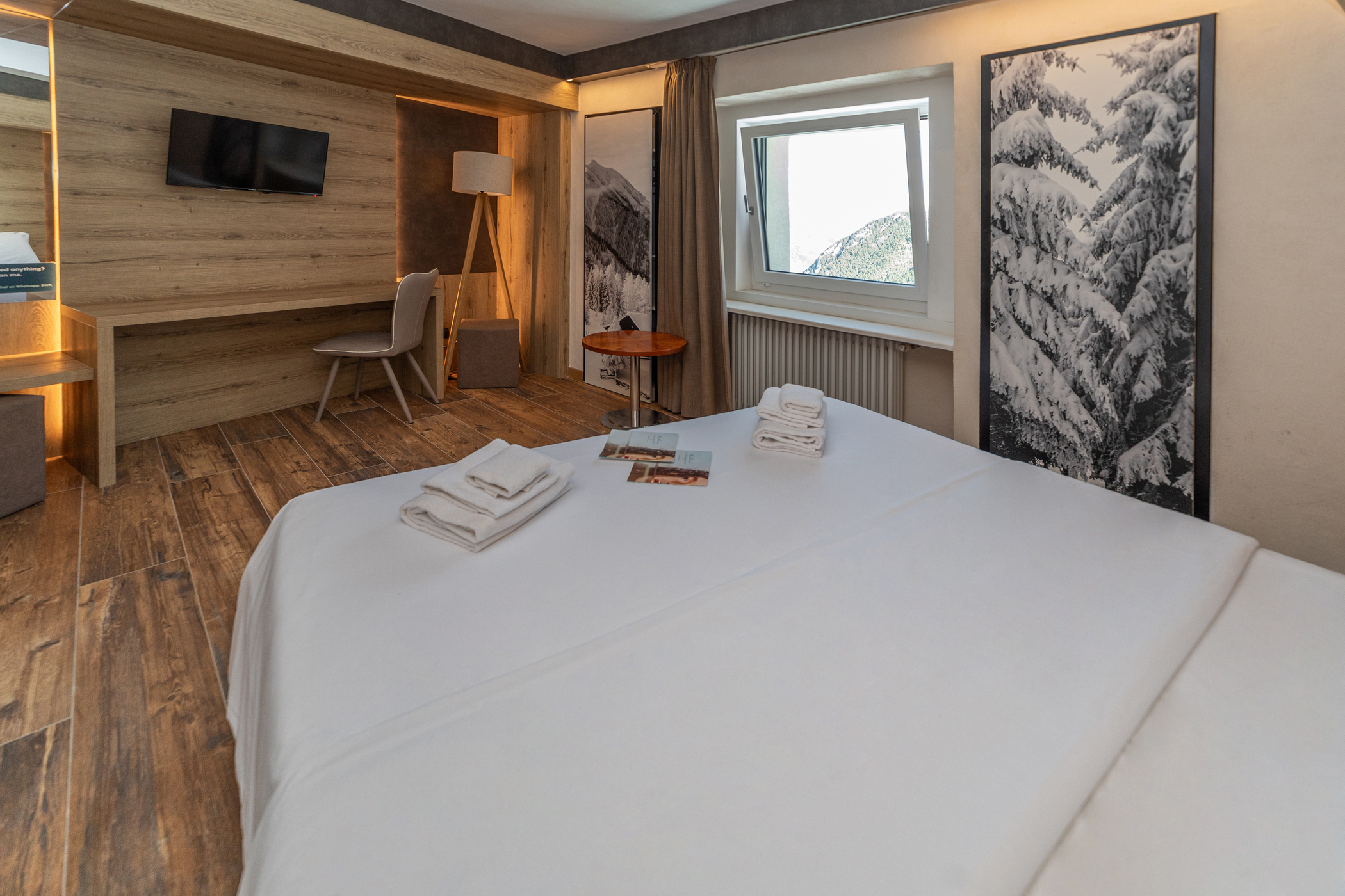 Double or Twin Mountain View