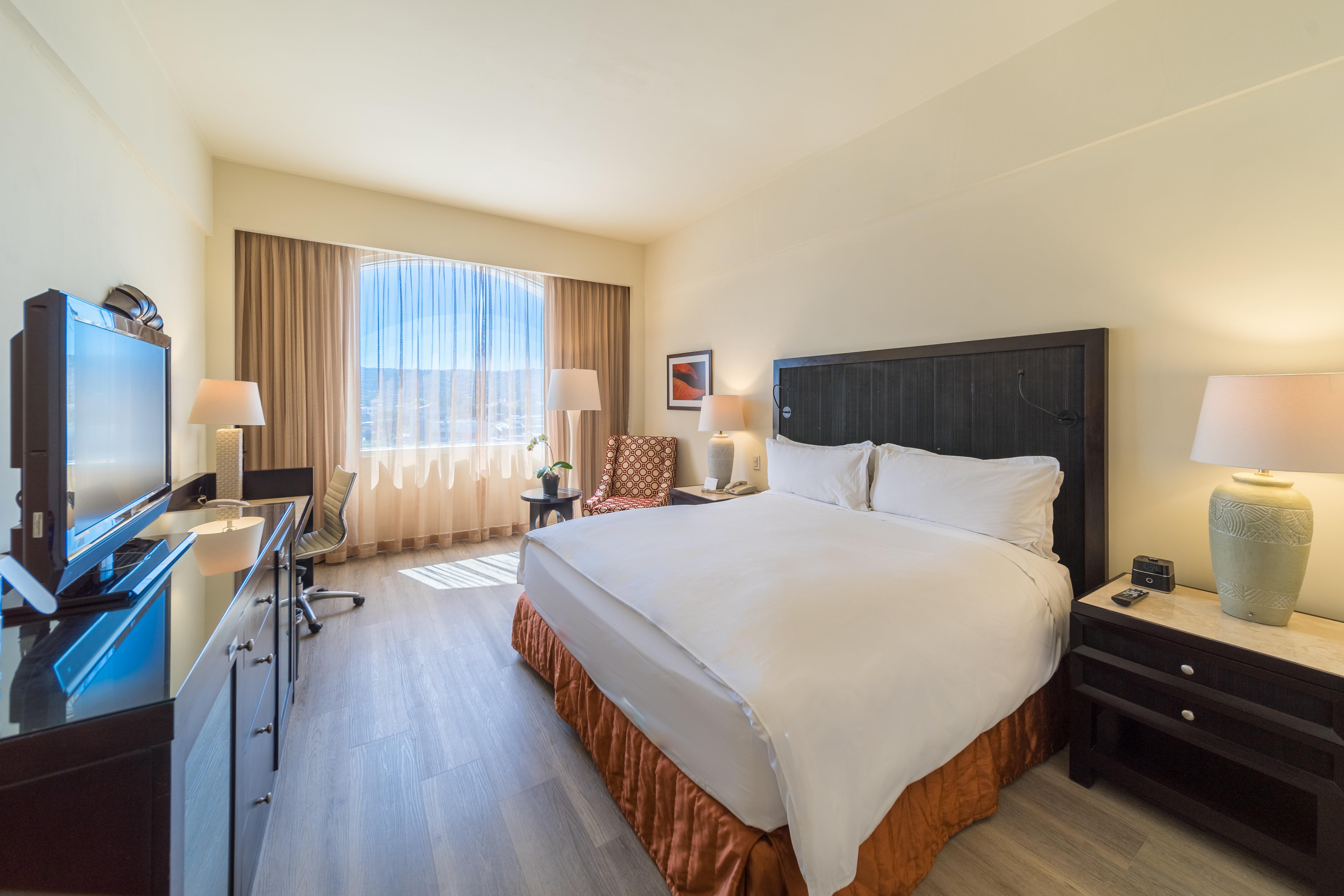 Double Deluxe King Bed