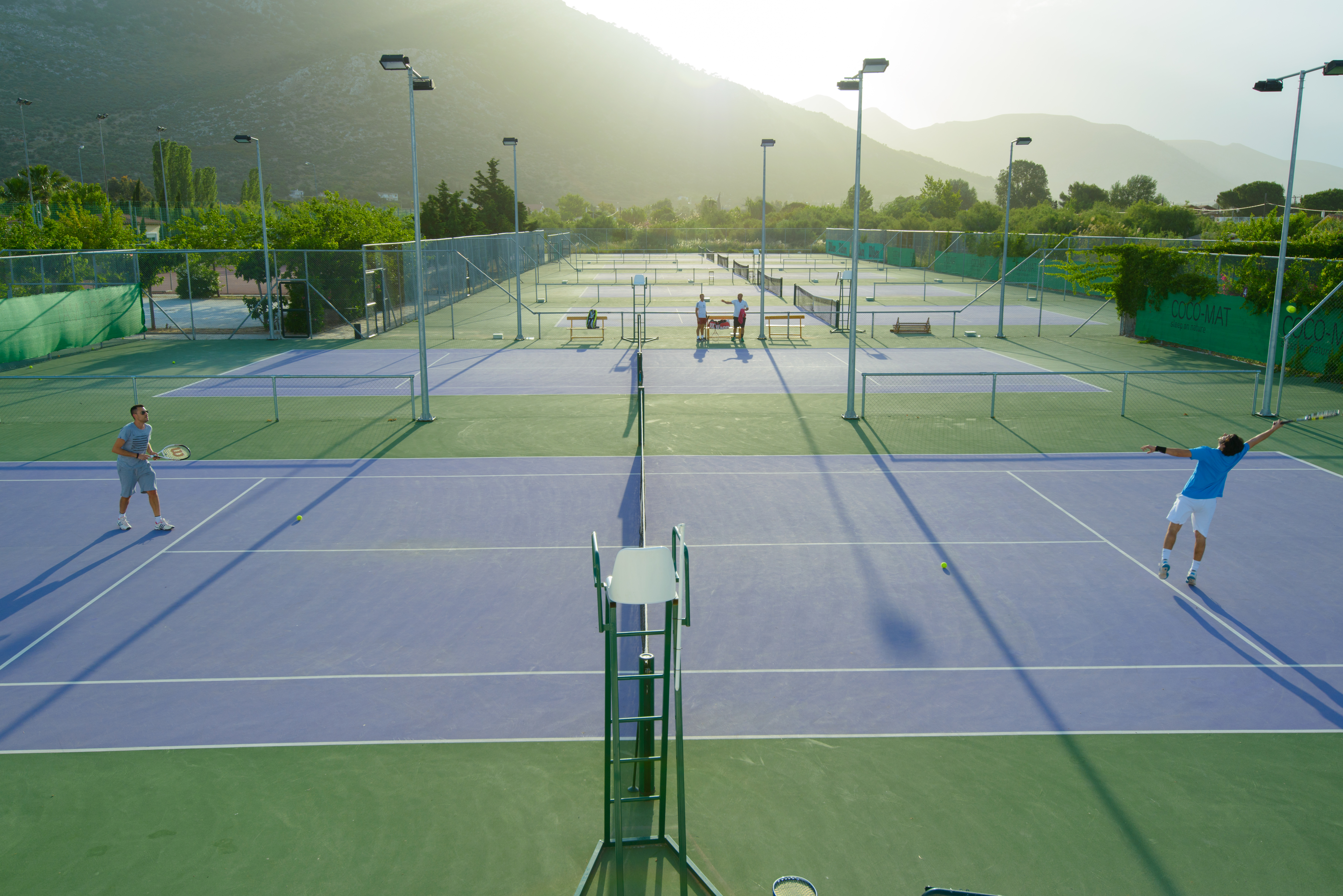 Sports and Entertainment