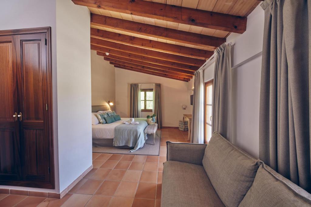 Junior Suite Standard