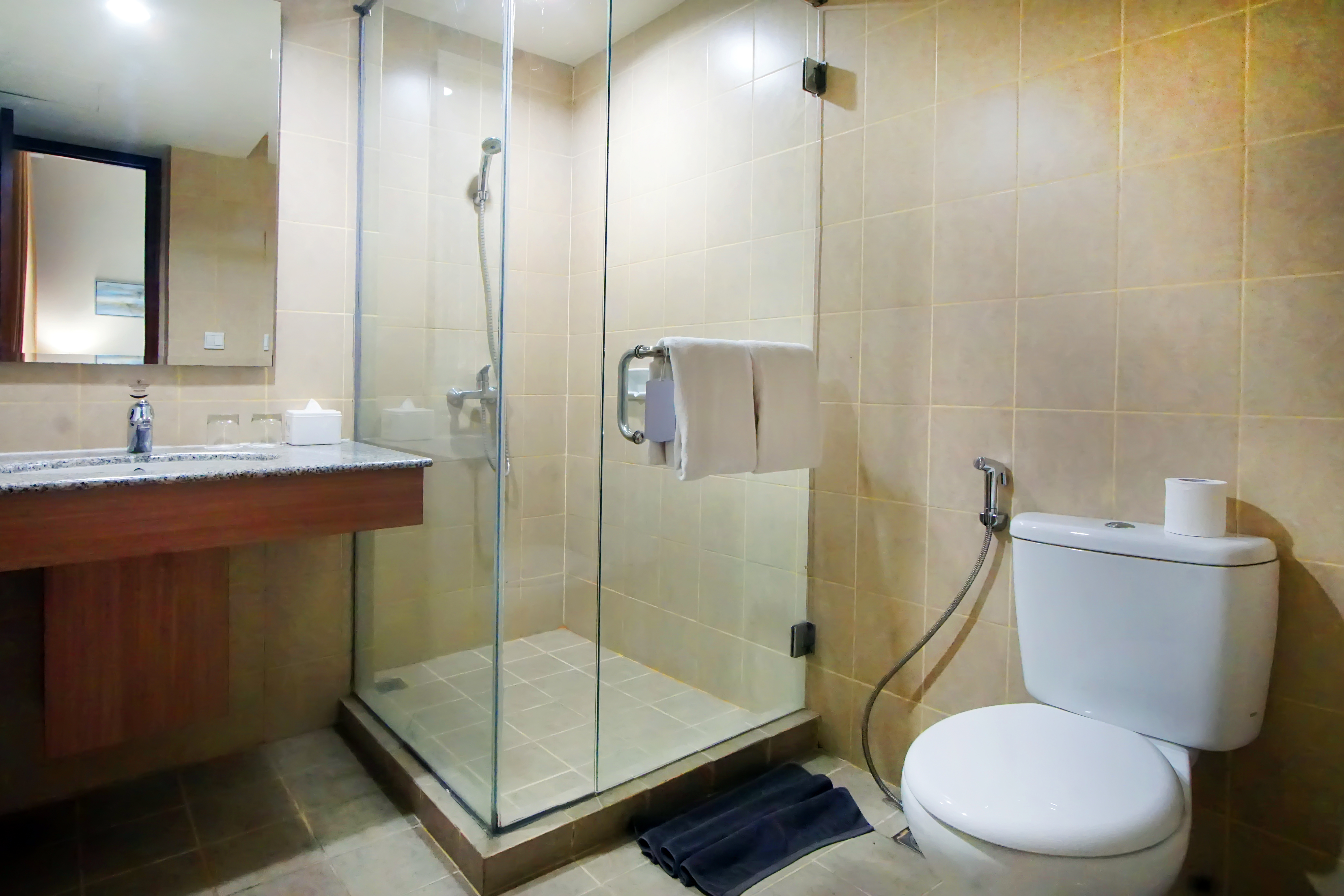 Double or Twin Executive One Bedroom