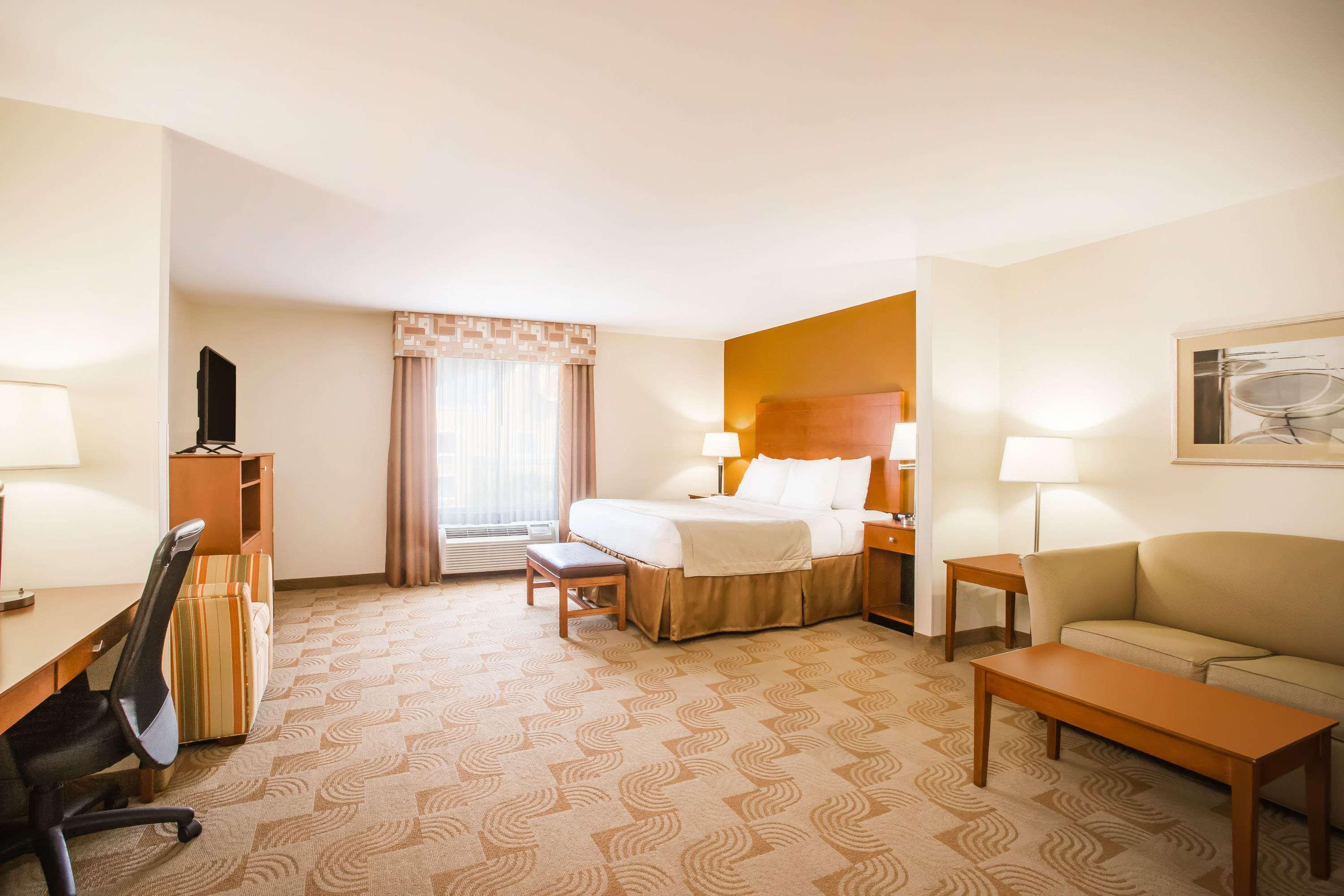 Suite King Bed Non Smoking