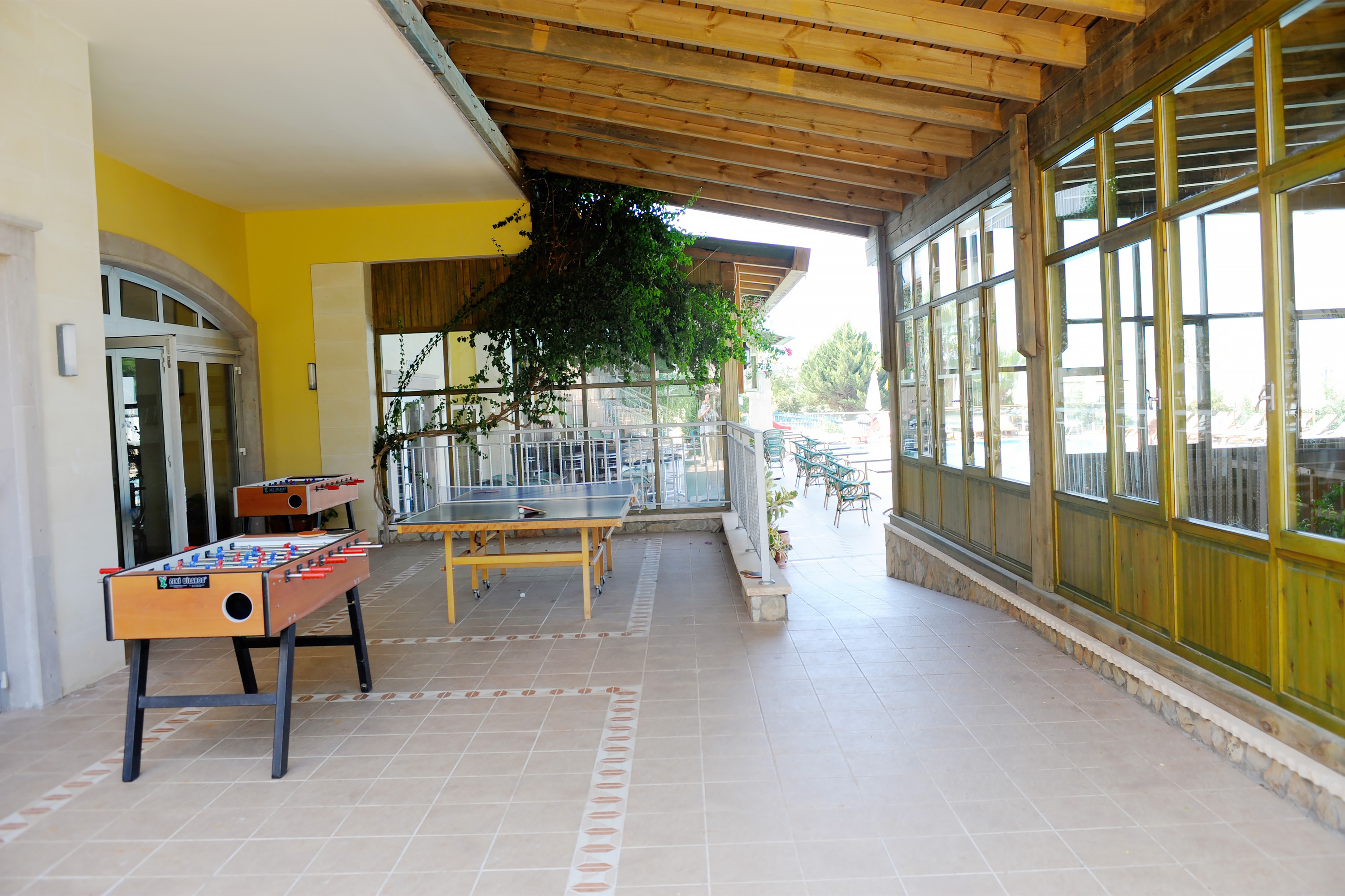 Sports and Entertainment