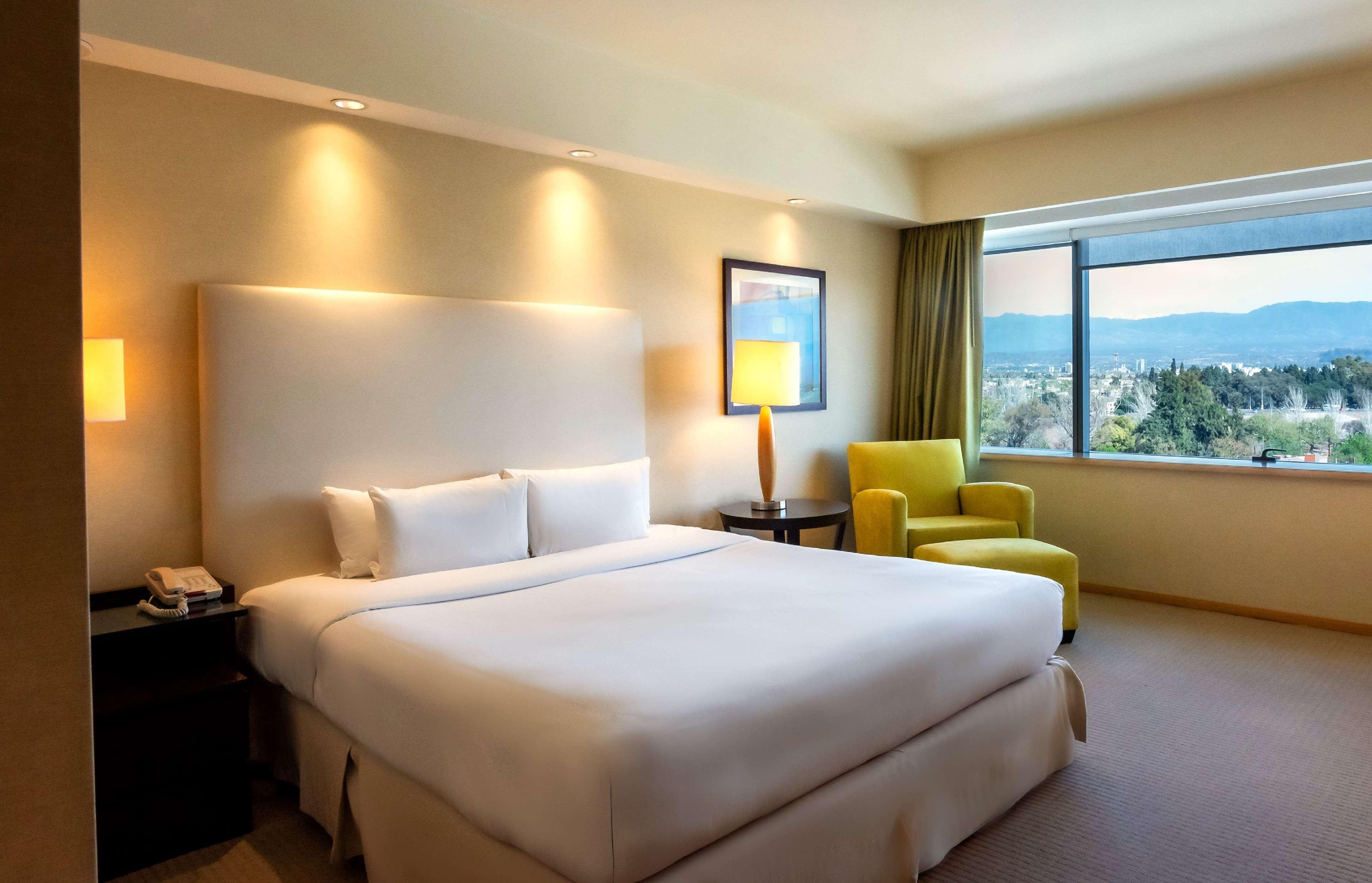 Suite King Bed One Bedroom 