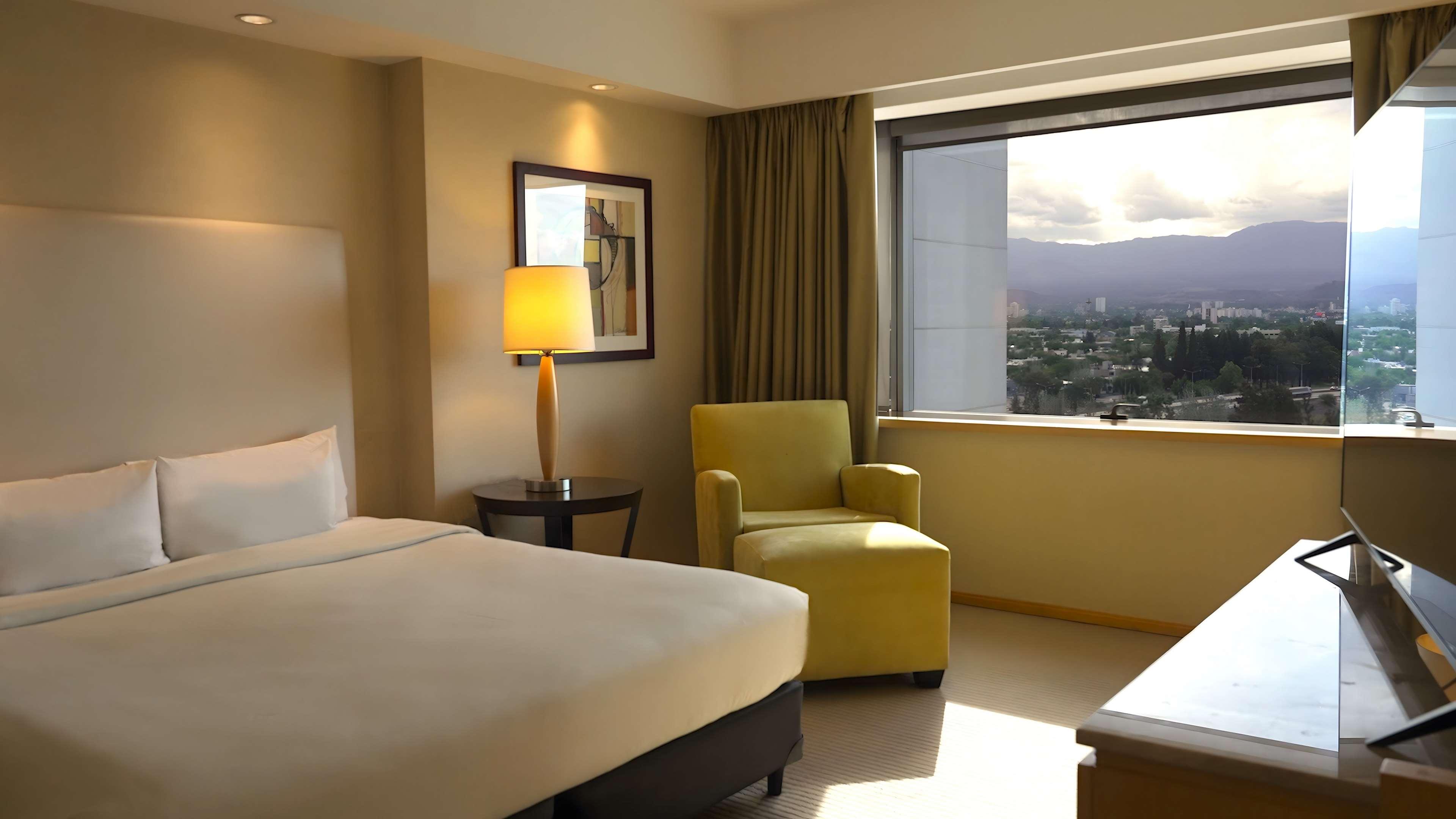 Suite King Bed One Bedroom 