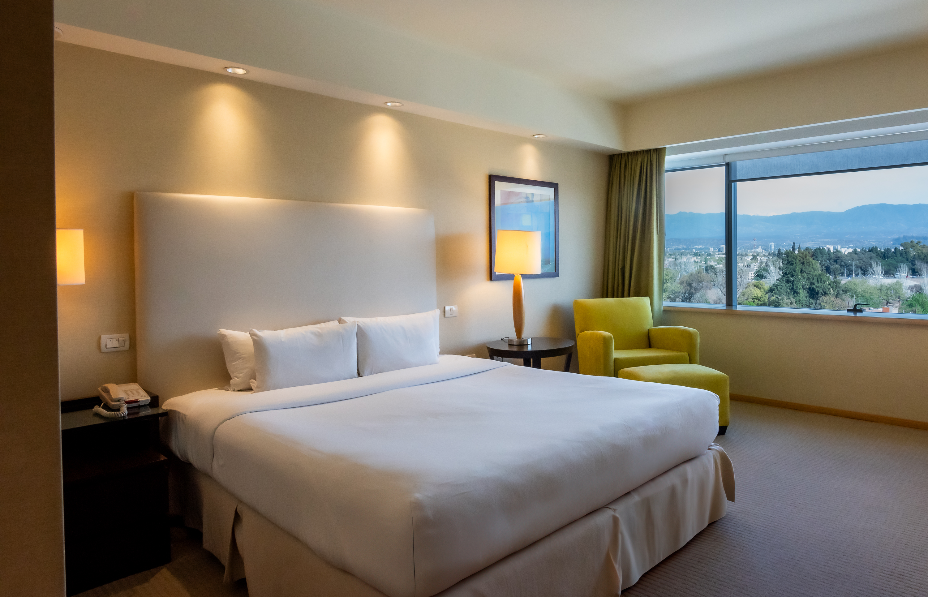 Suite Mountain View