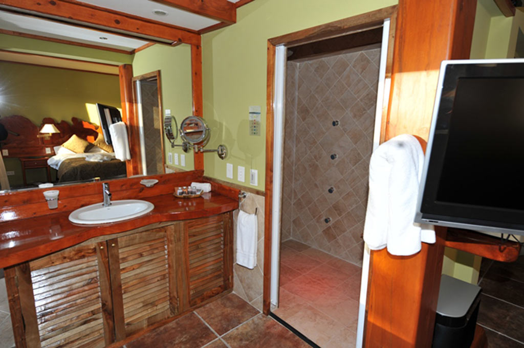 Apartment Capacity 3