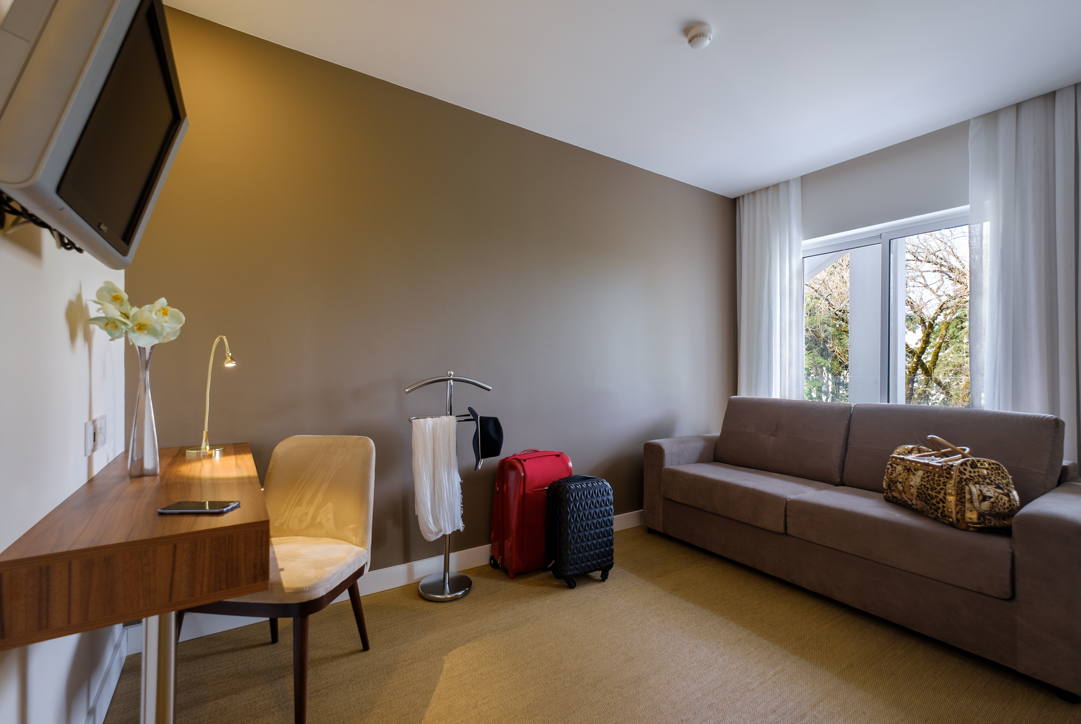 Suite One Bedroom One Bathroom